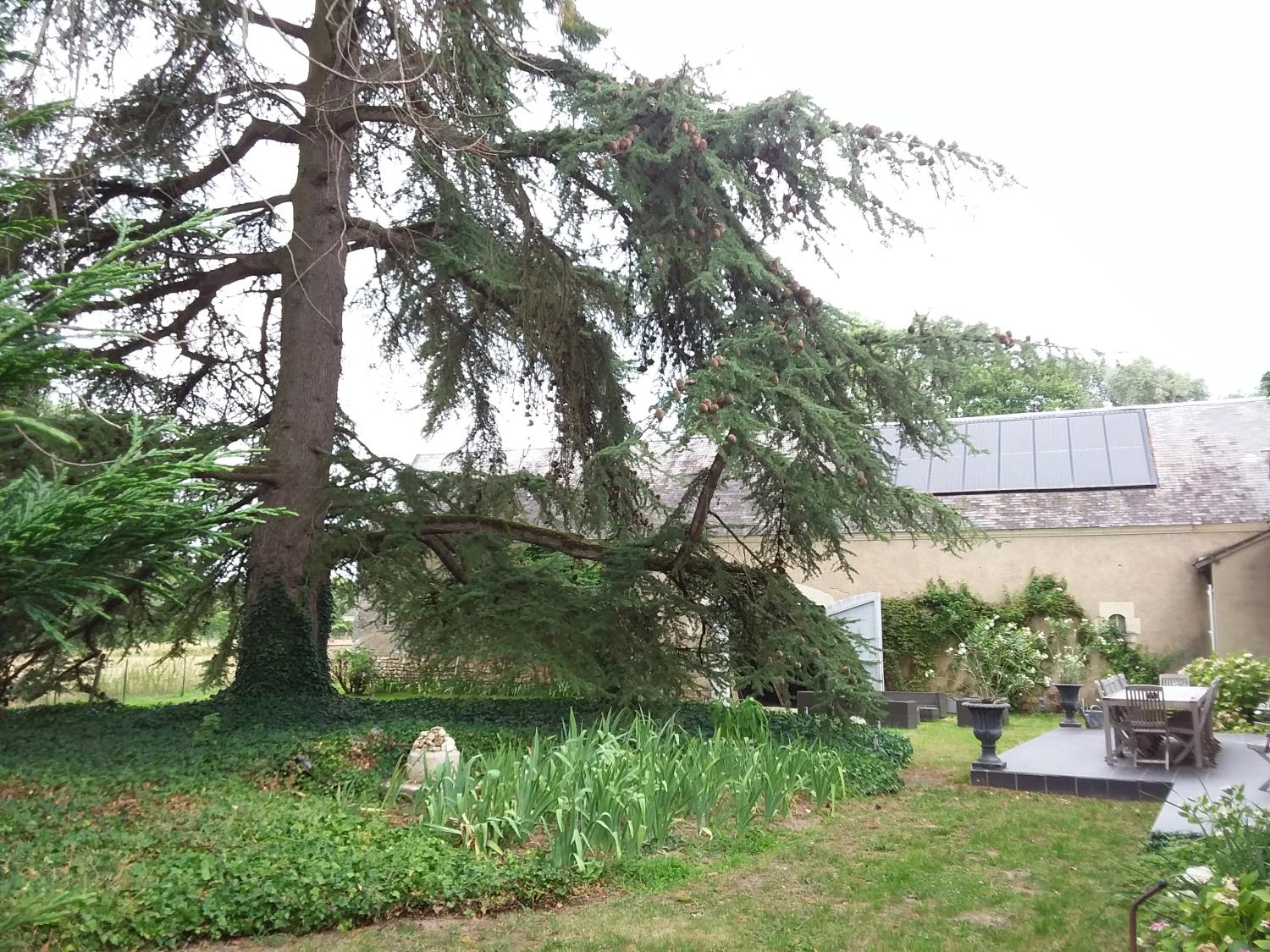  en venta cama y desayuno Couddes Loir-et-Cher 7