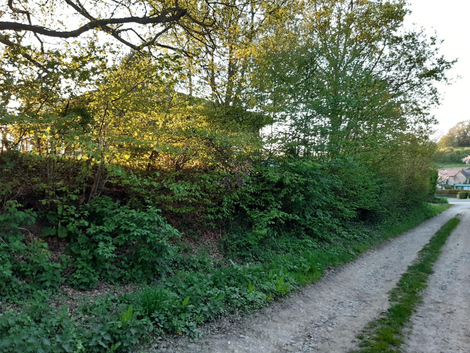 en venta chalet Preures Pas-de-Calais 3