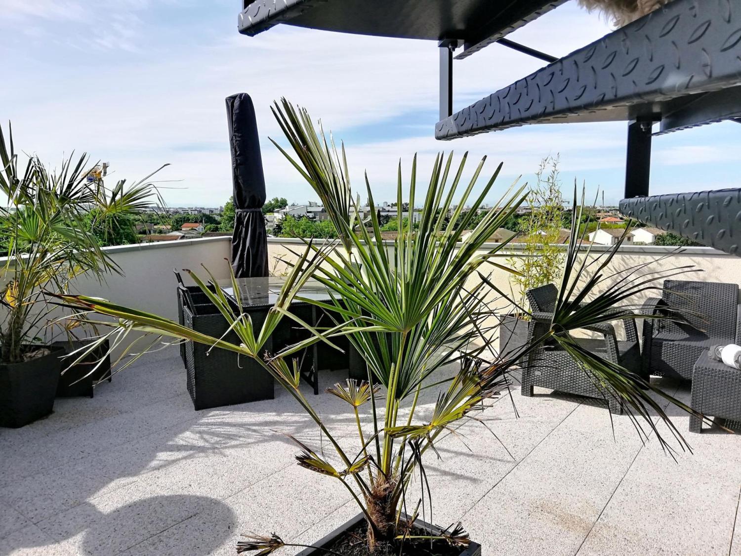 en venta apartamento Toulouse 31200 Haute-Garonne 3