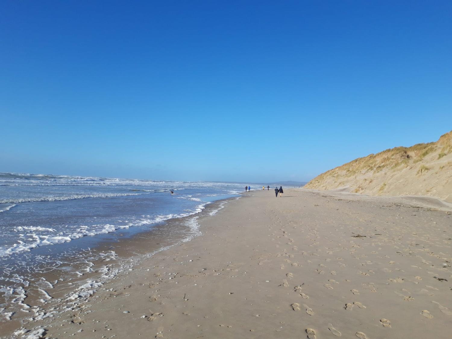 en venta chalet Preures Pas-de-Calais 19