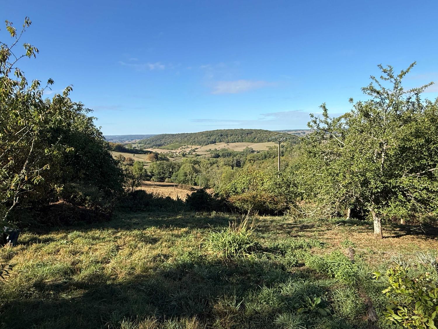 en venta casa de pueblo Bourbonne-les-Bains Haute-Marne 30