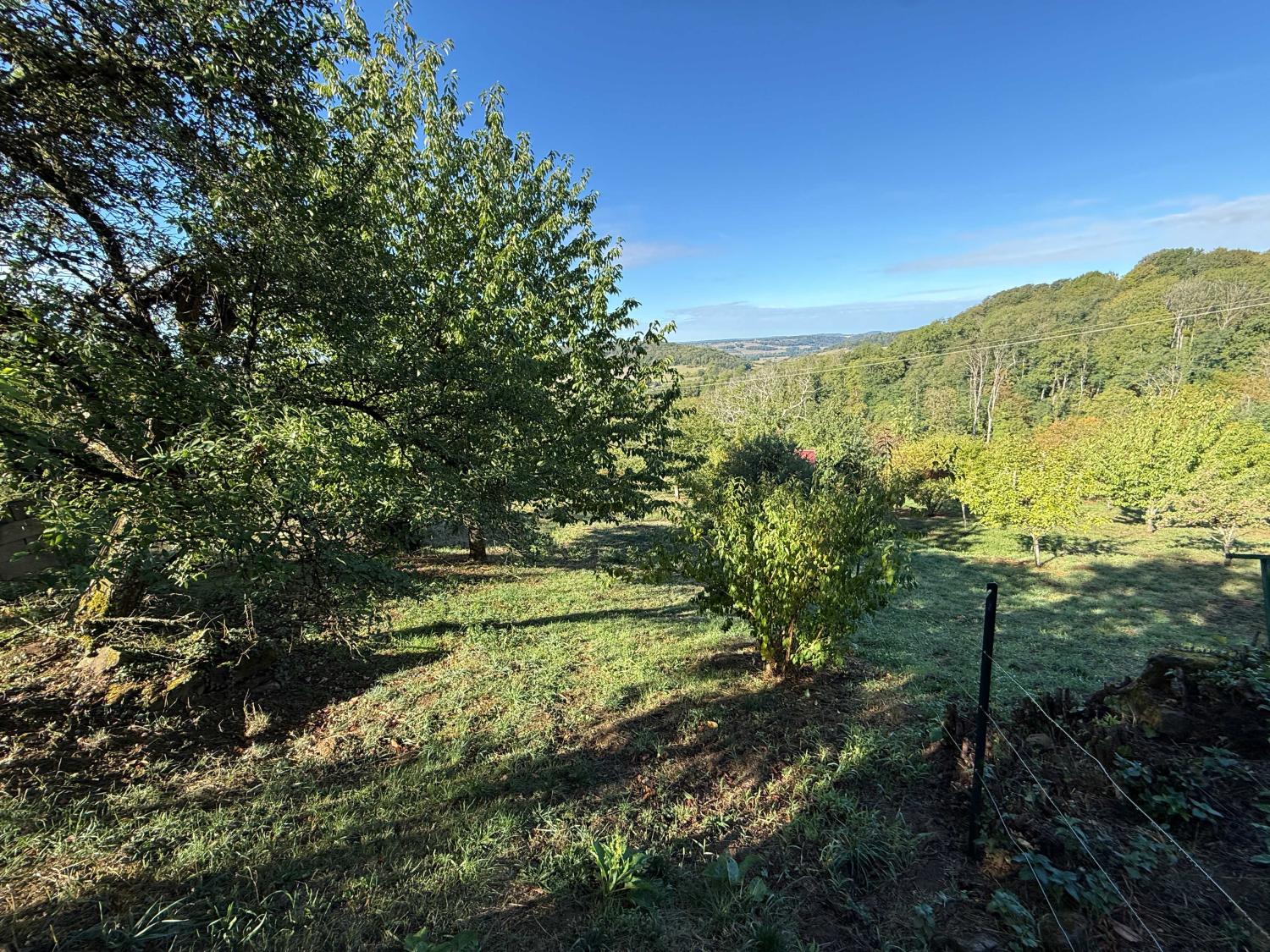 en venta casa de pueblo Bourbonne-les-Bains Haute-Marne 29