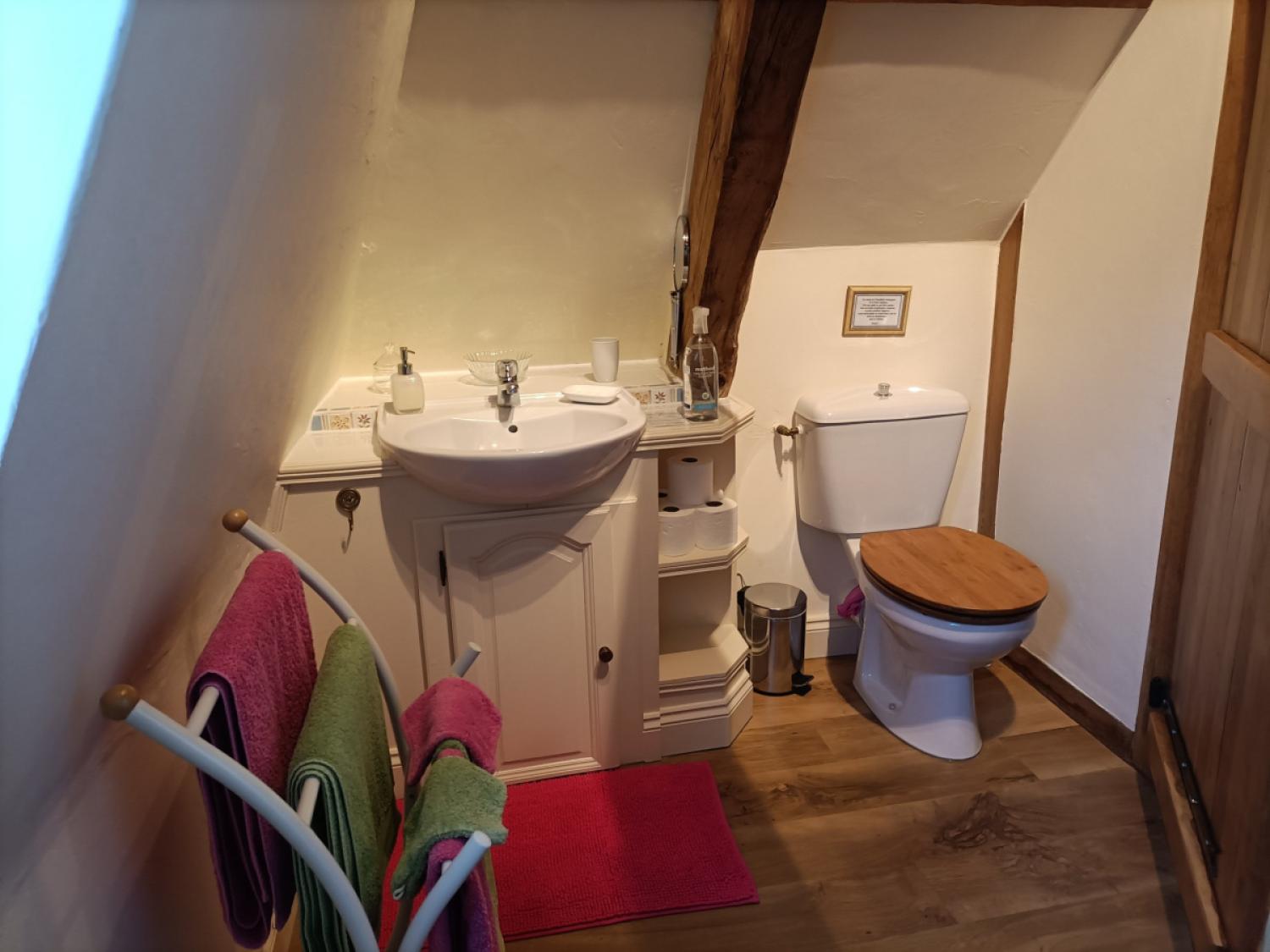 en venta casa con anexo de invitados Meuzac Haute-Vienne 35