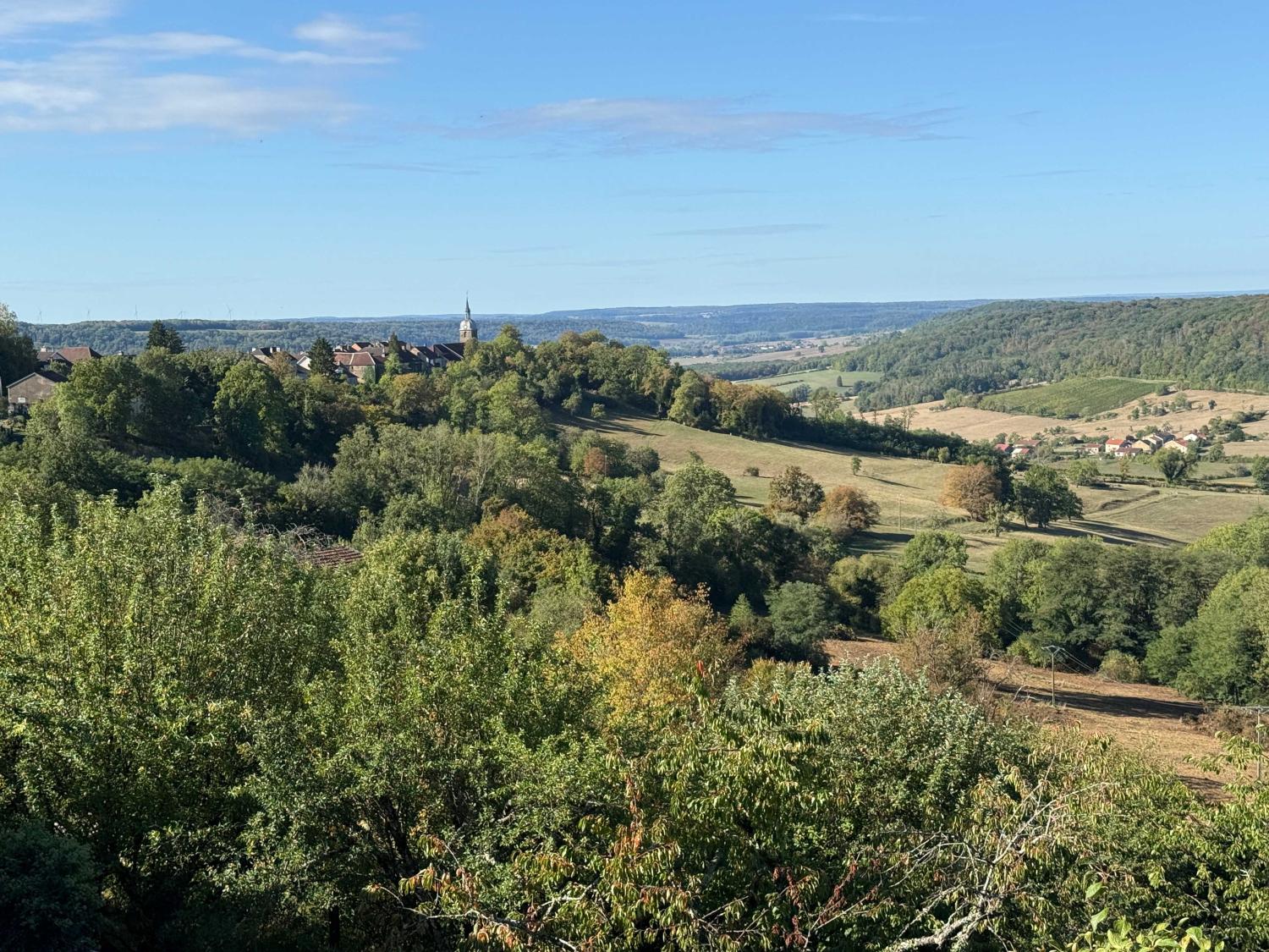 en venta casa de pueblo Bourbonne-les-Bains Haute-Marne 19