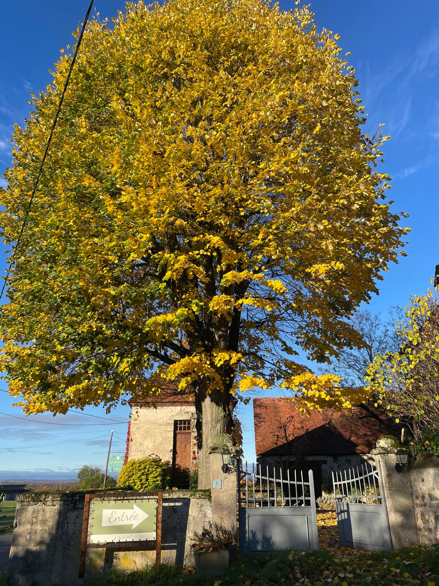  en venta camping Lussat Creuse 27