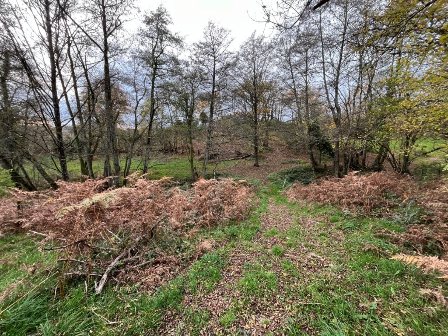  en venta casa con anexo de invitados Saint-Hilaire-en-Morvan Nièvre 22