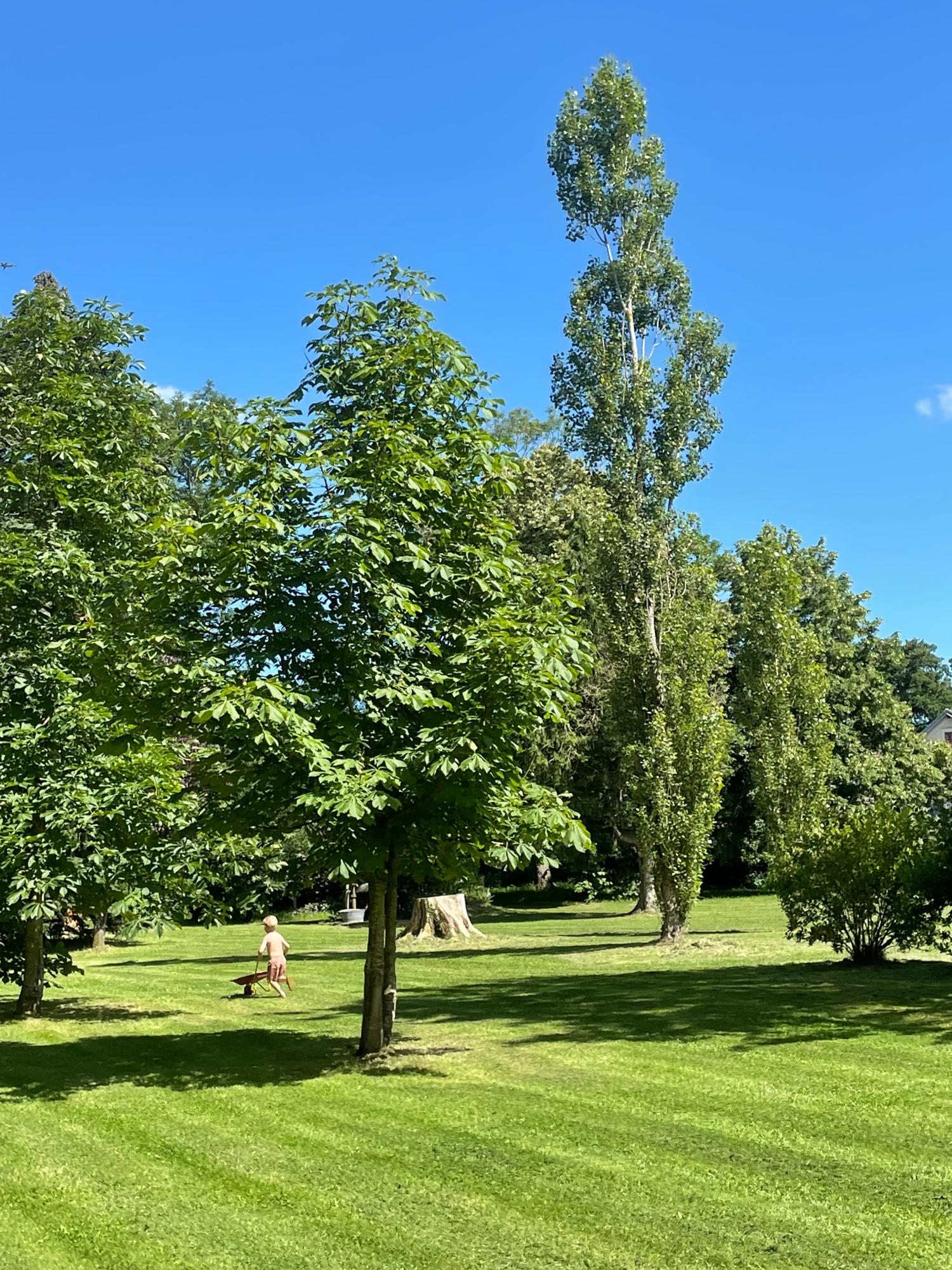  en venta camping Lussat Creuse 4