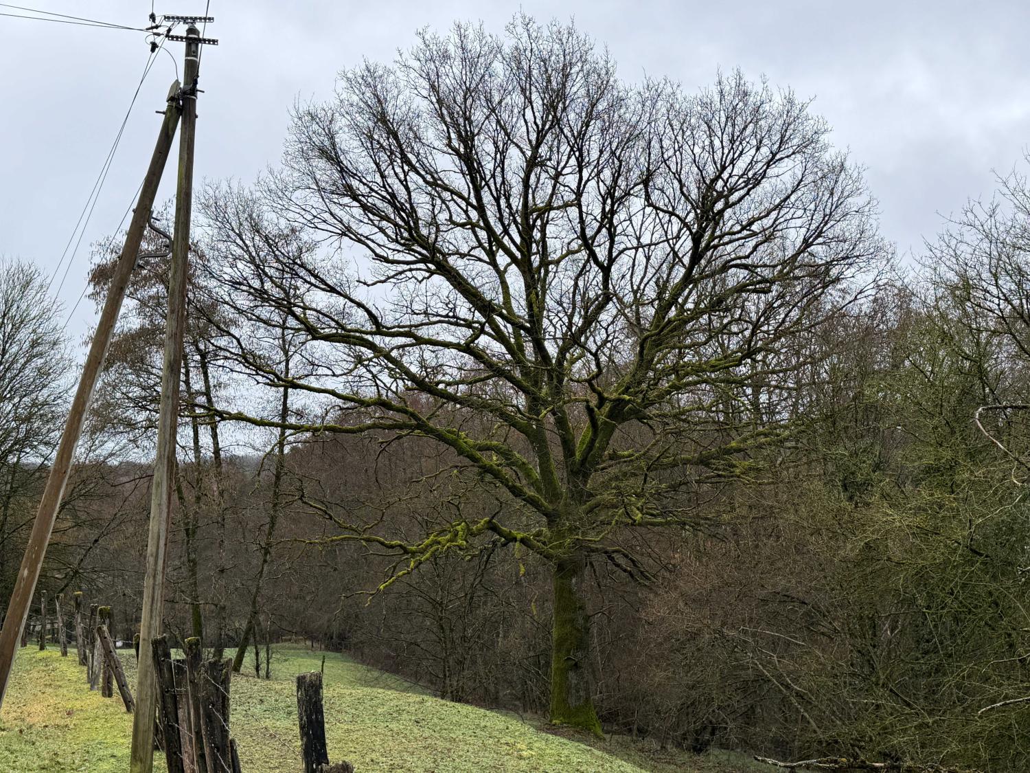  en venta cama y desayuno Viviers-le-Gras Vosgos 45