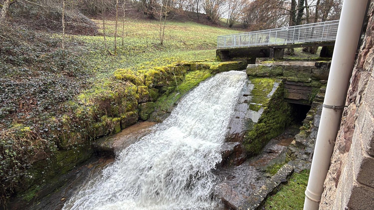  en venta cama y desayuno Viviers-le-Gras Vosgos 5