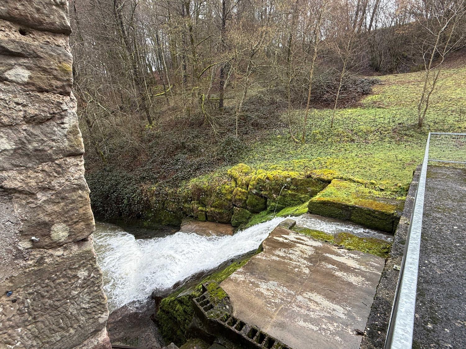  en venta cama y desayuno Viviers-le-Gras Vosgos 15