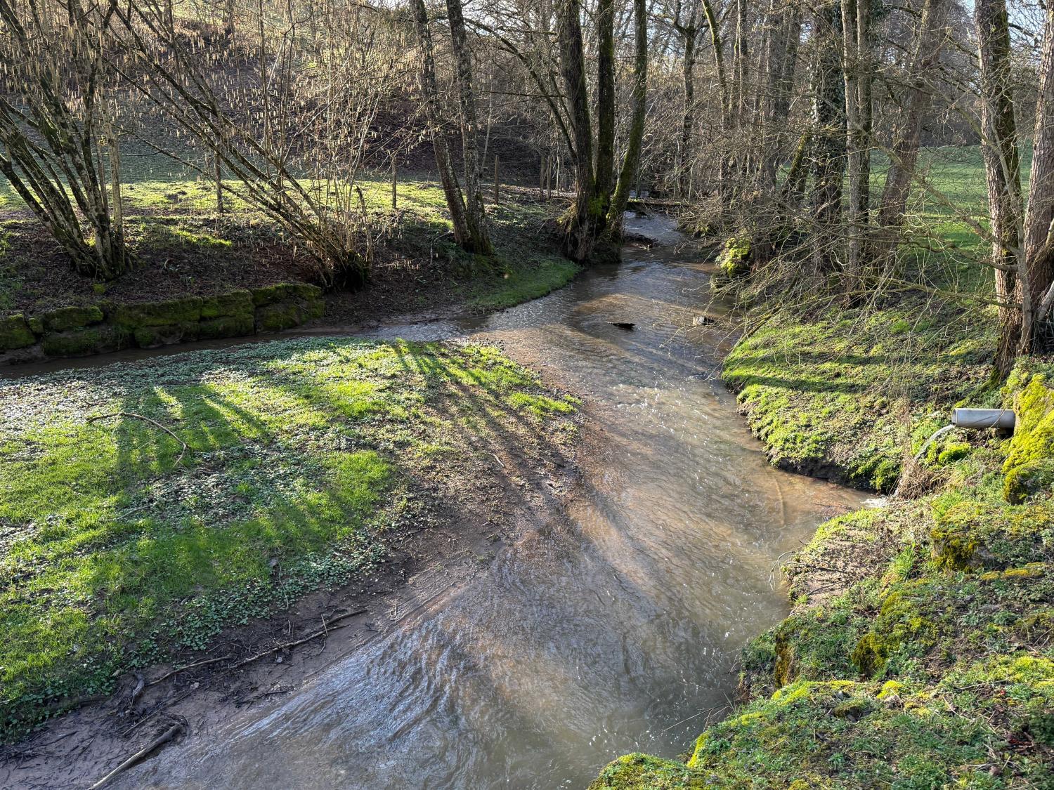  en venta cama y desayuno Viviers-le-Gras Vosgos 47