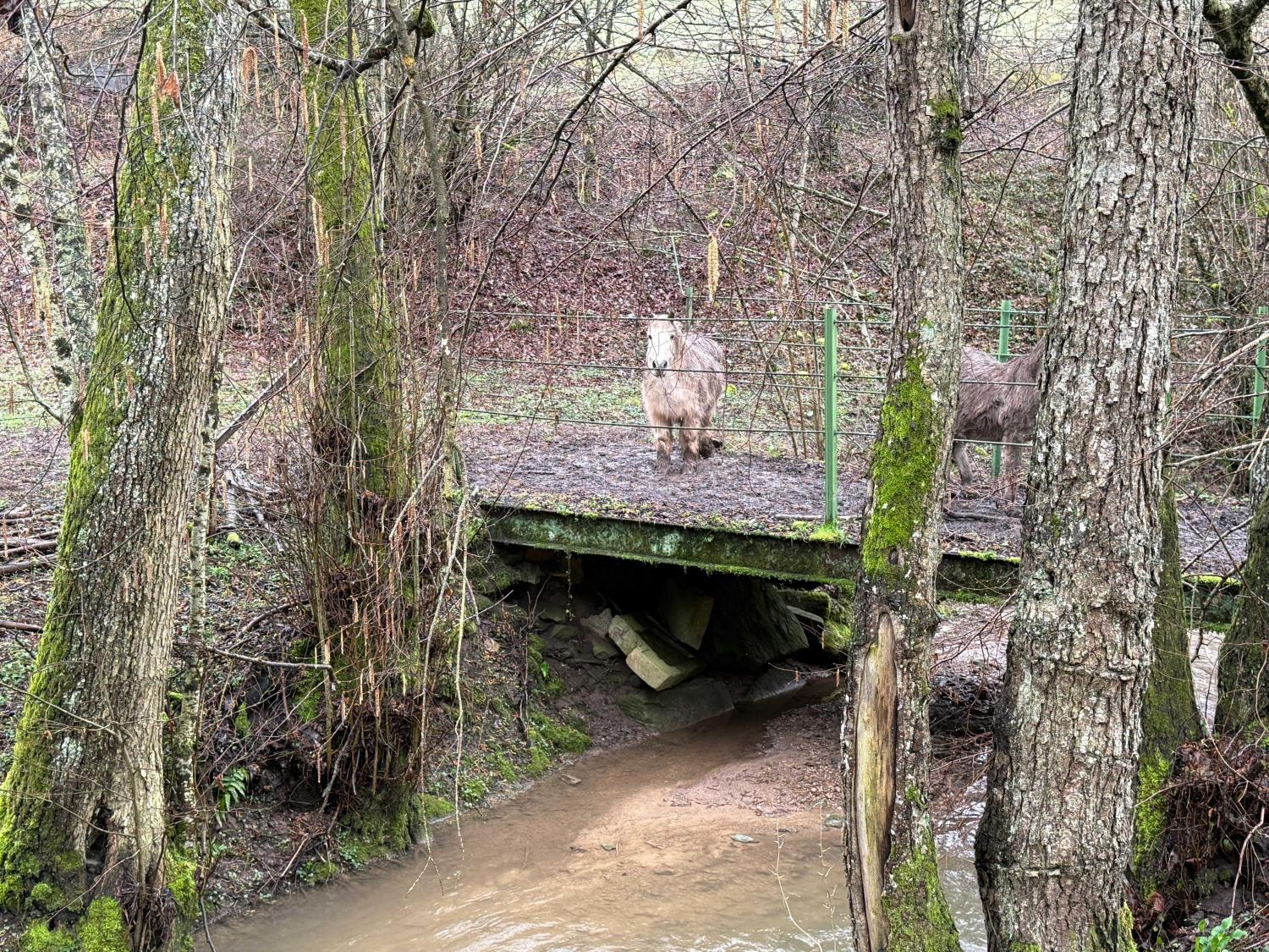  en venta cama y desayuno Viviers-le-Gras Vosgos 44
