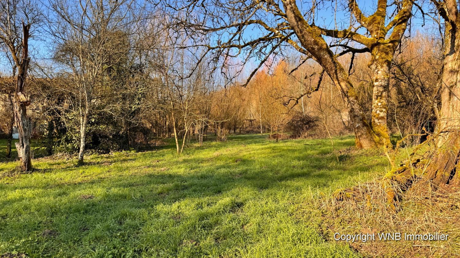  en venta finca de pueblo Serécourt Vosgos 11