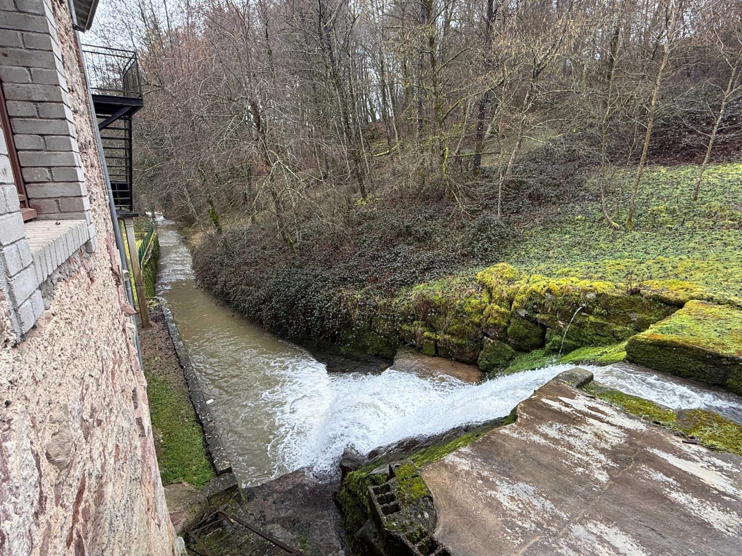  en venta cama y desayuno Viviers-le-Gras Vosgos 7