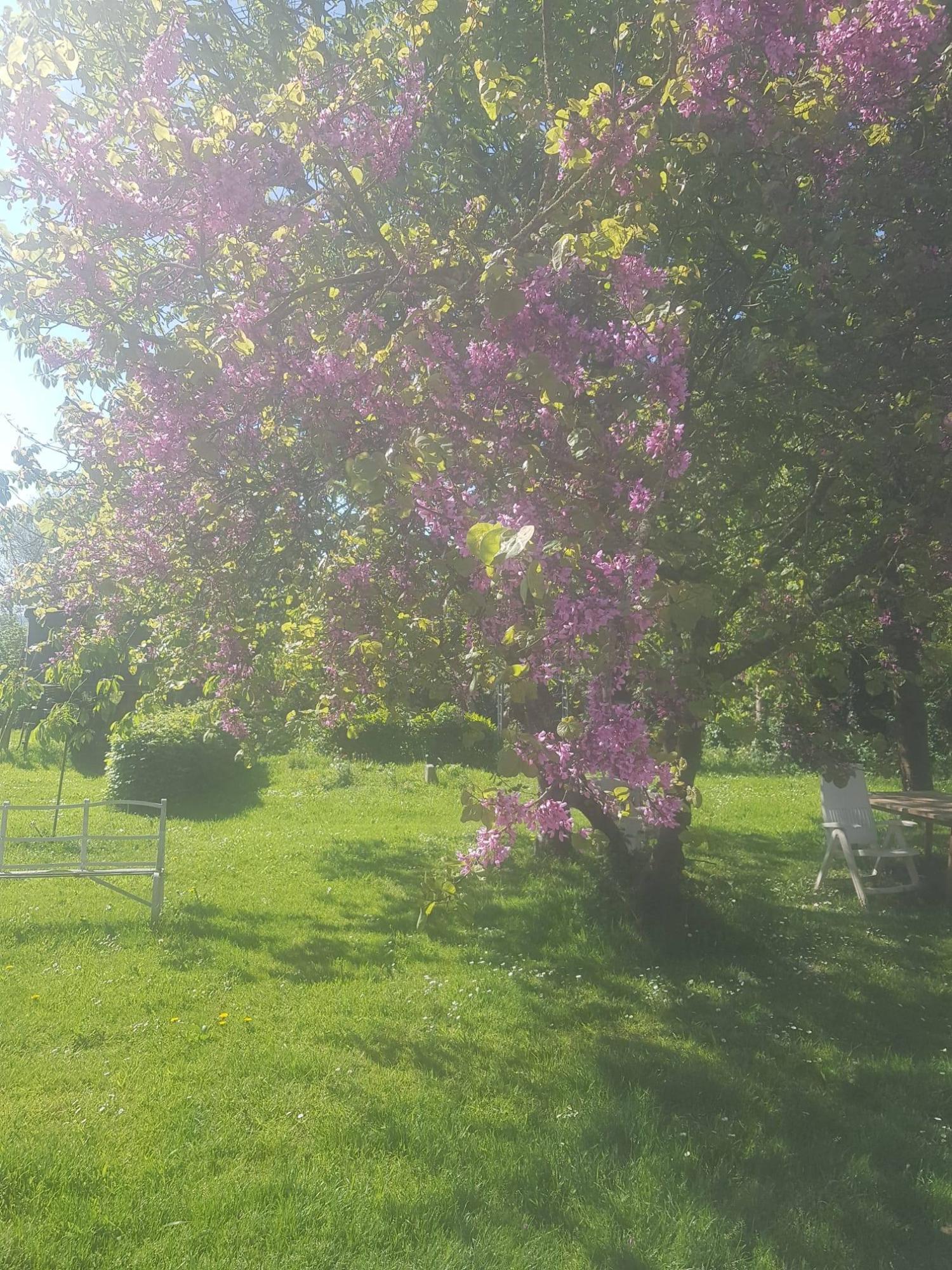  en venta casa independiente Saint-Denis-le-Gast Manche 25