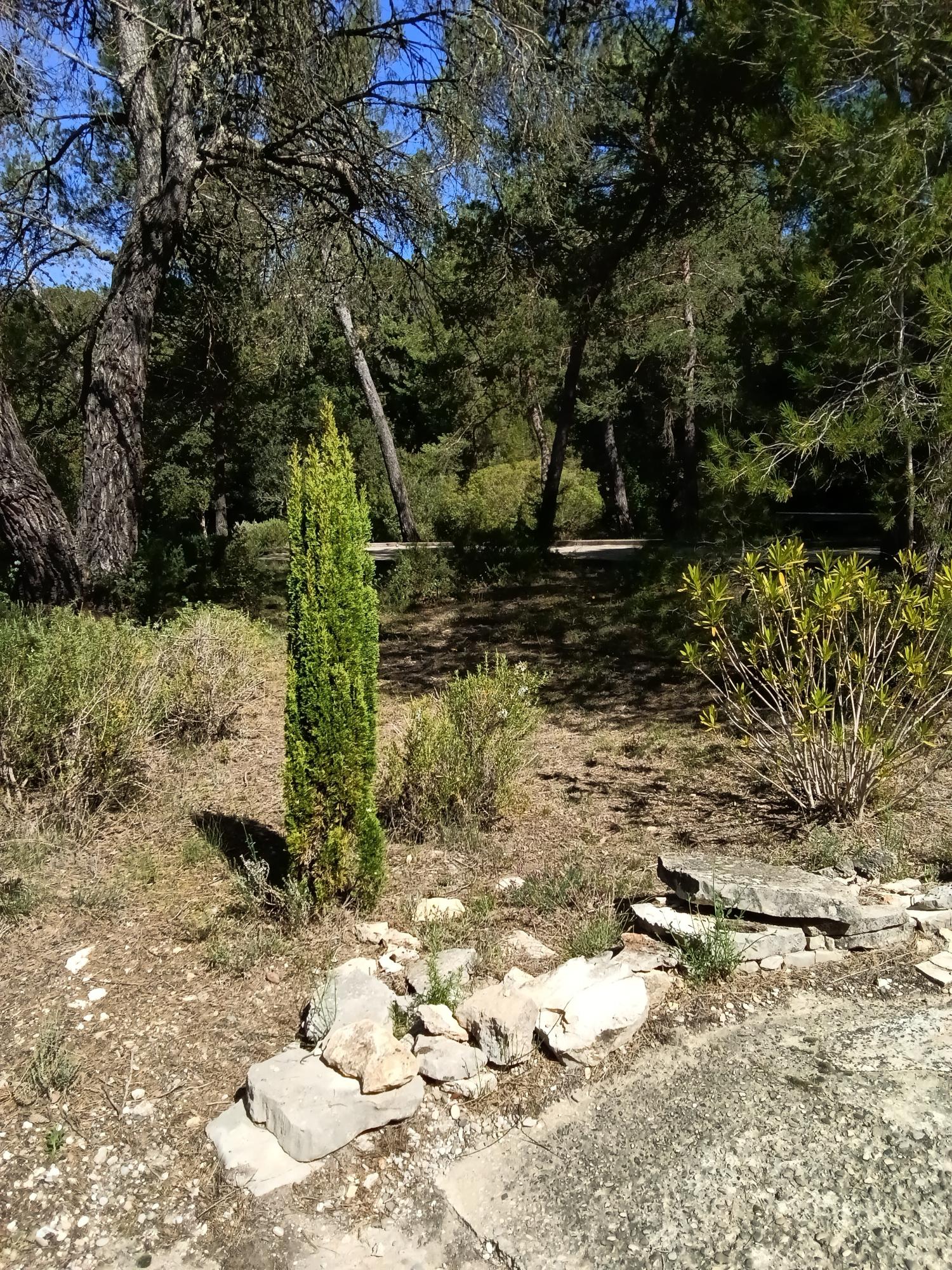  en venta finca rústica Ginasservis Var 27