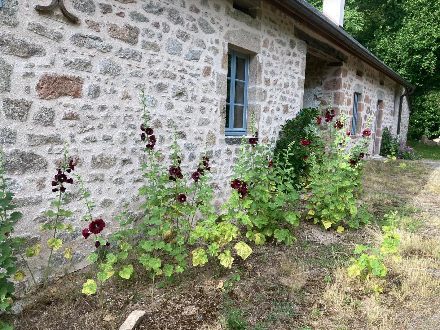  en venta finca rústica Saint-Léger-sous-Beuvray Saône-et-Loire 19