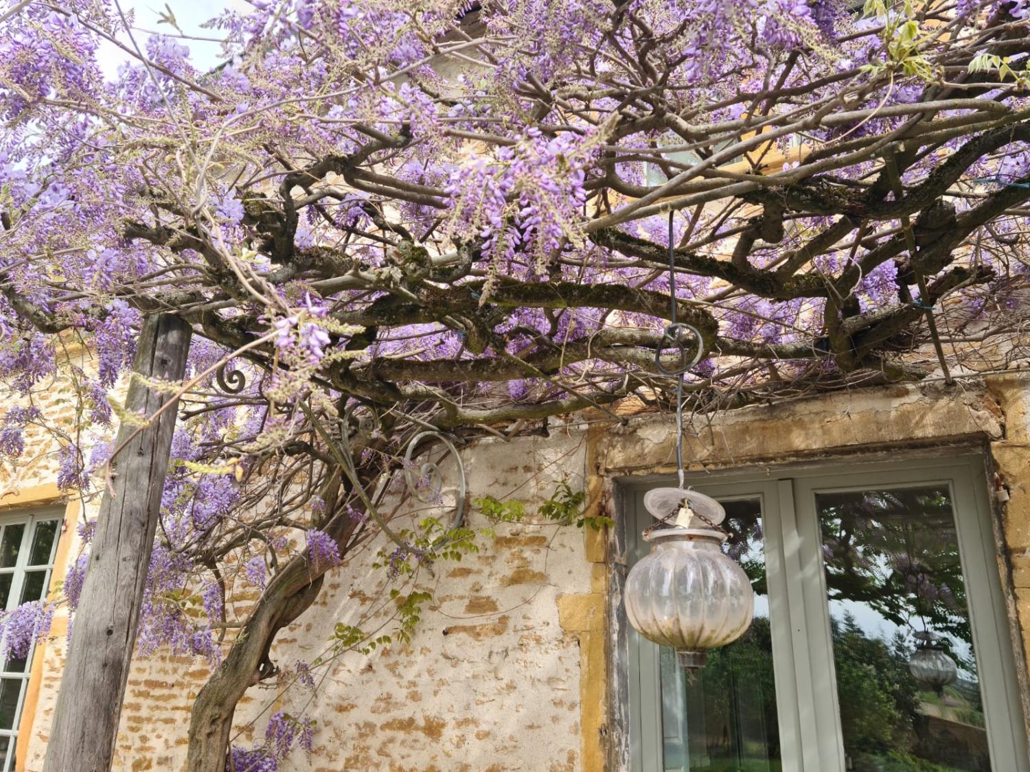  en venta casa Pommiers Rhône 6