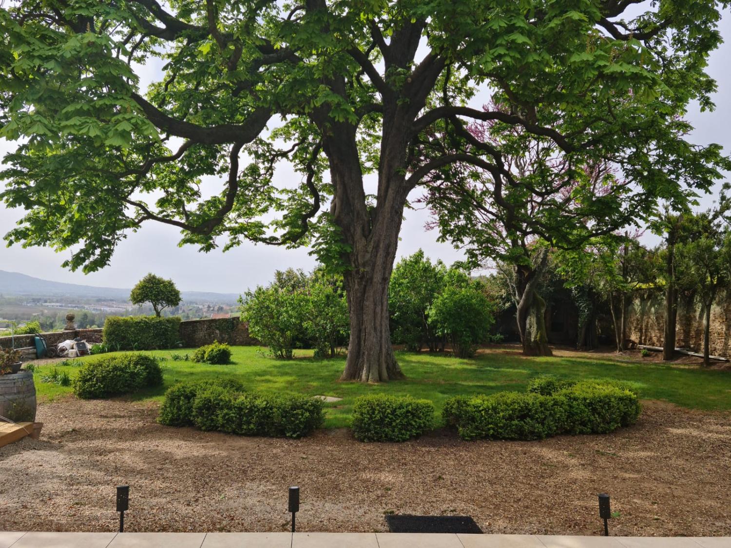  en venta casa Pommiers Rhône 5