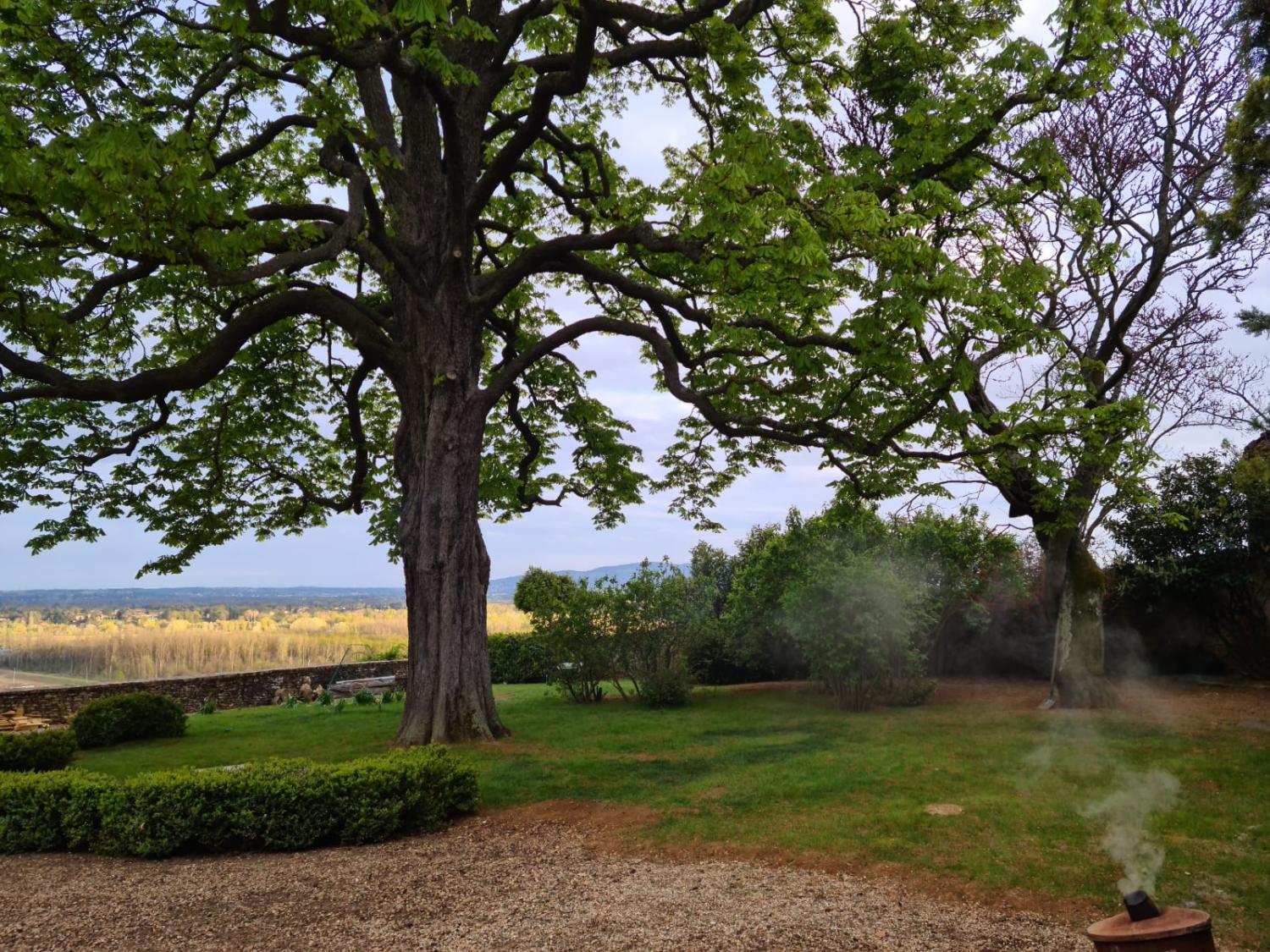  en venta casa Pommiers Rhône 23