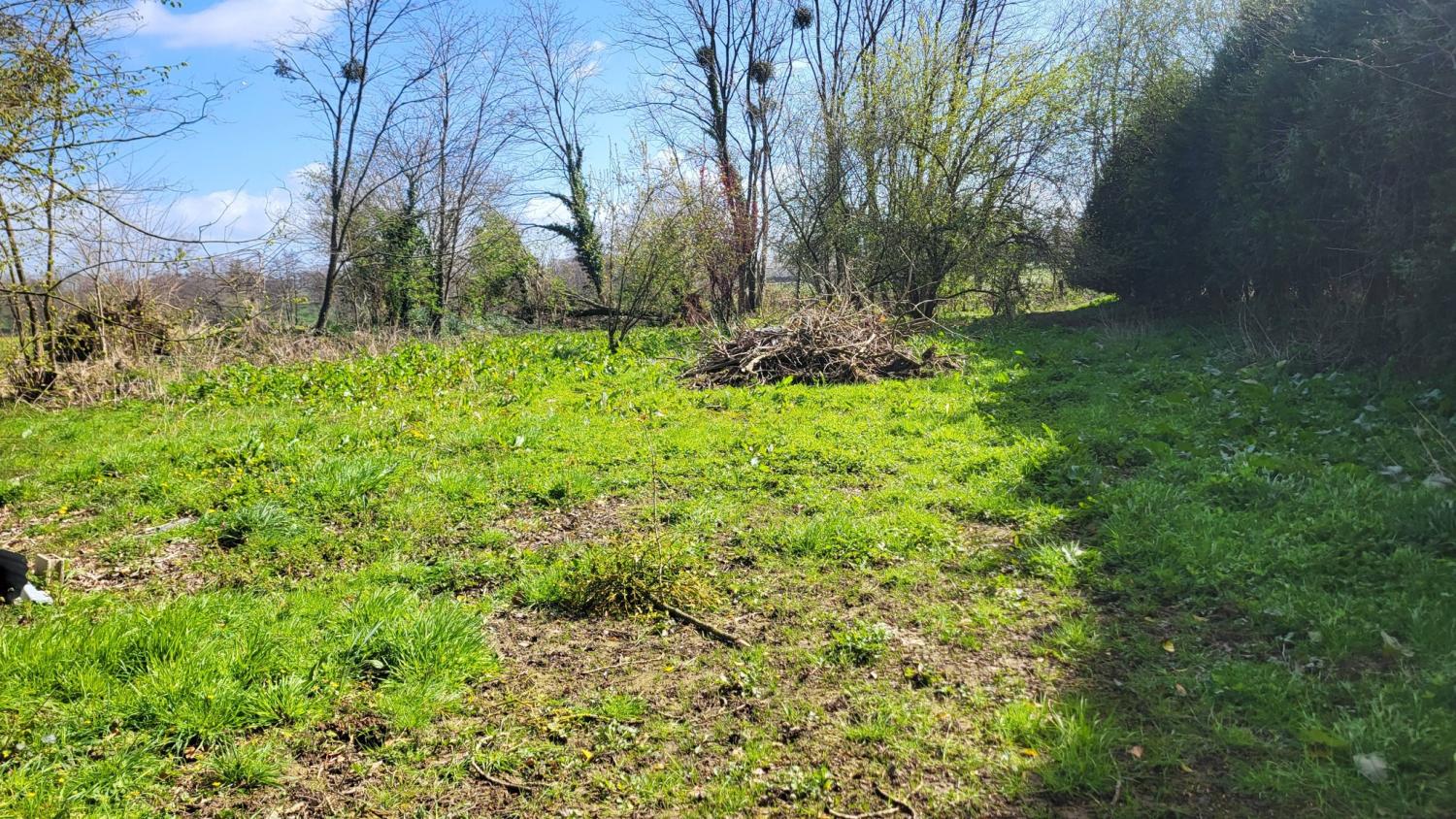  en venta casa independiente Maupertuis Manche 4