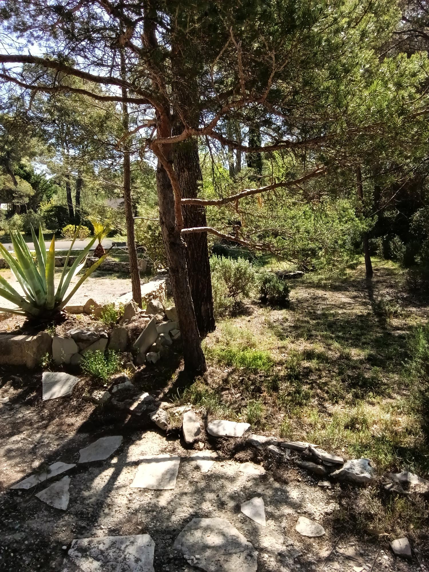  en venta finca rústica Ginasservis Var 28