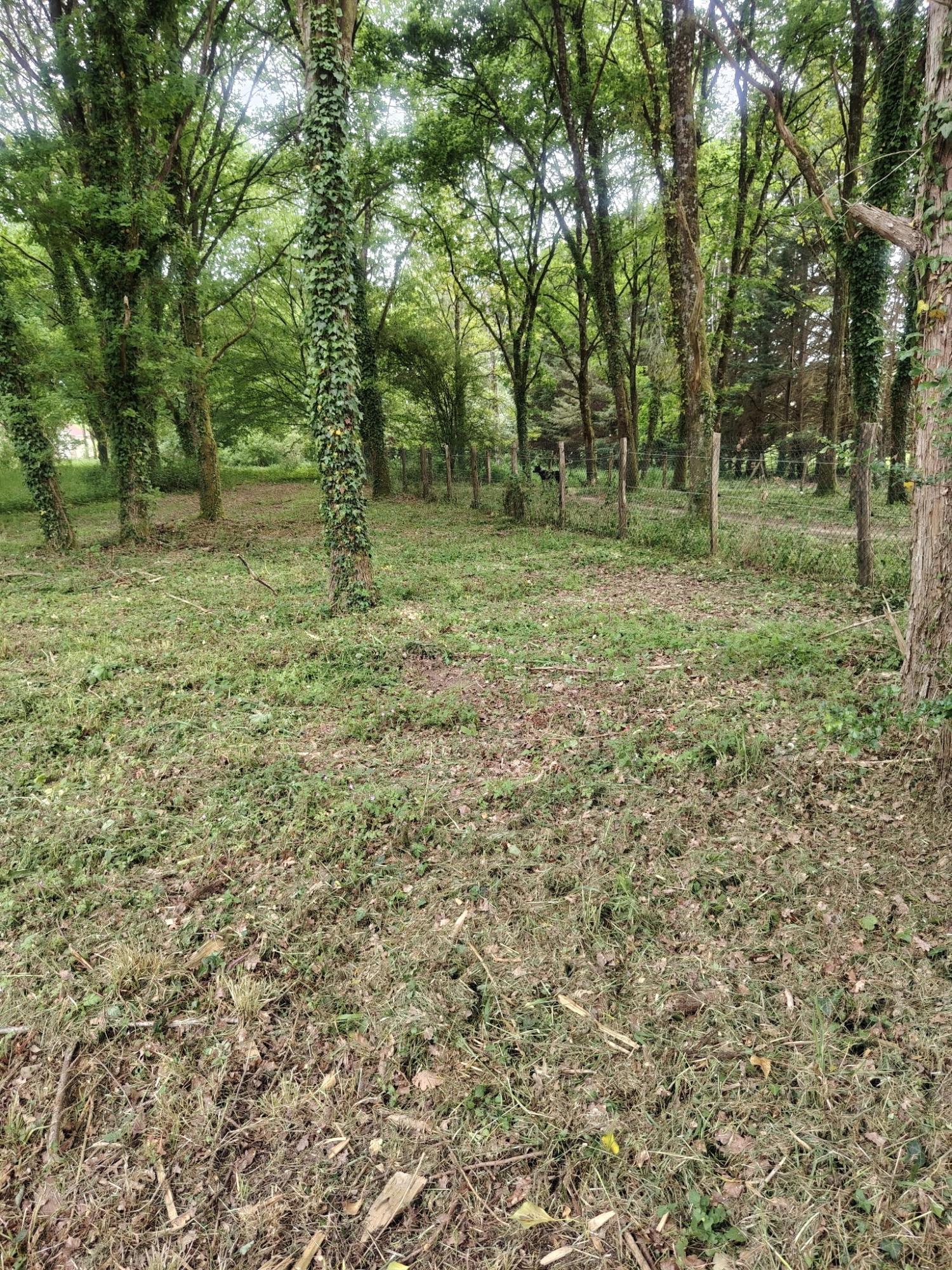  en venta casa Saint-Malo-en-Donziois Nièvre 23
