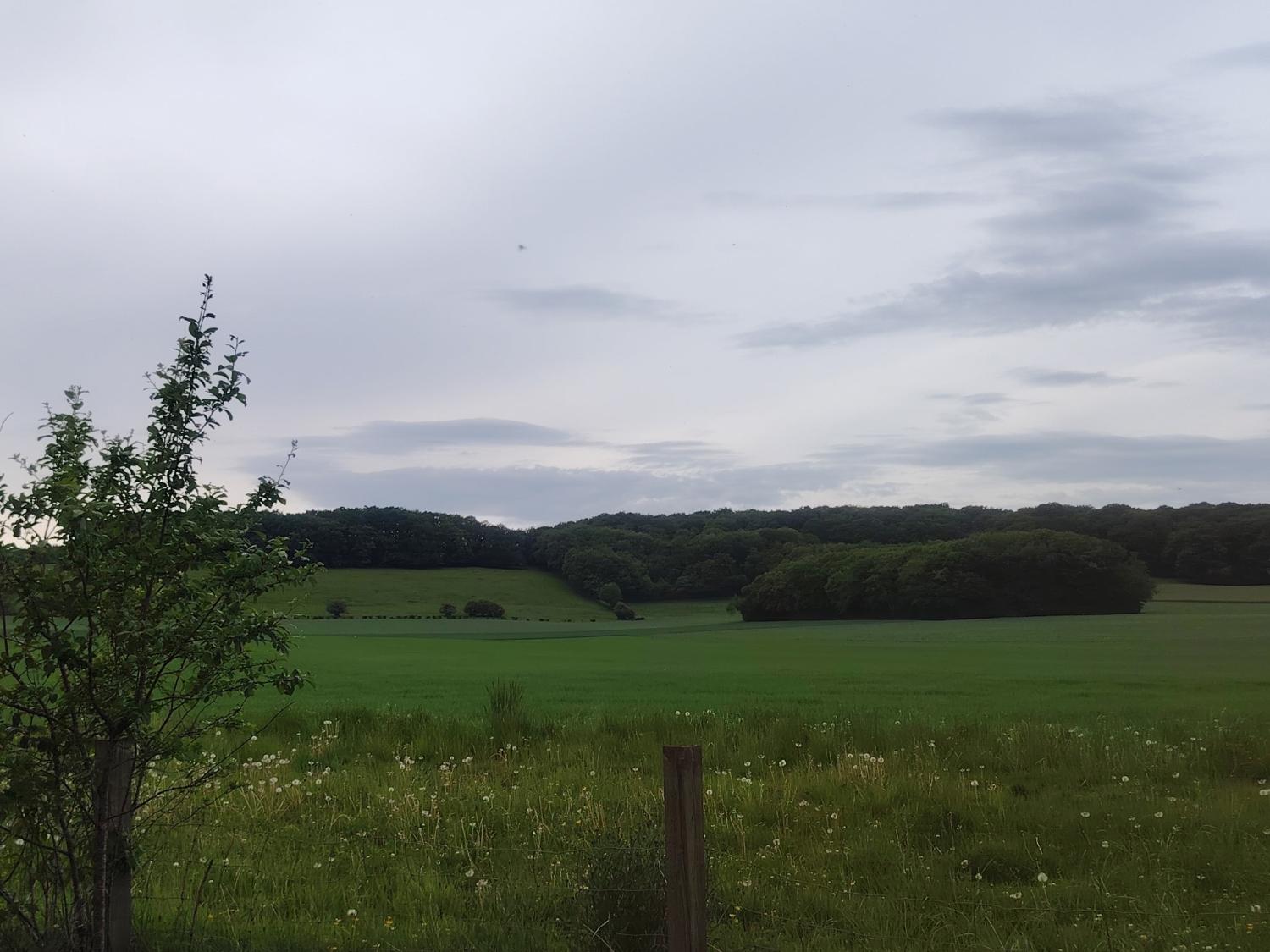  en venta casa Saint-Malo-en-Donziois Nièvre 12