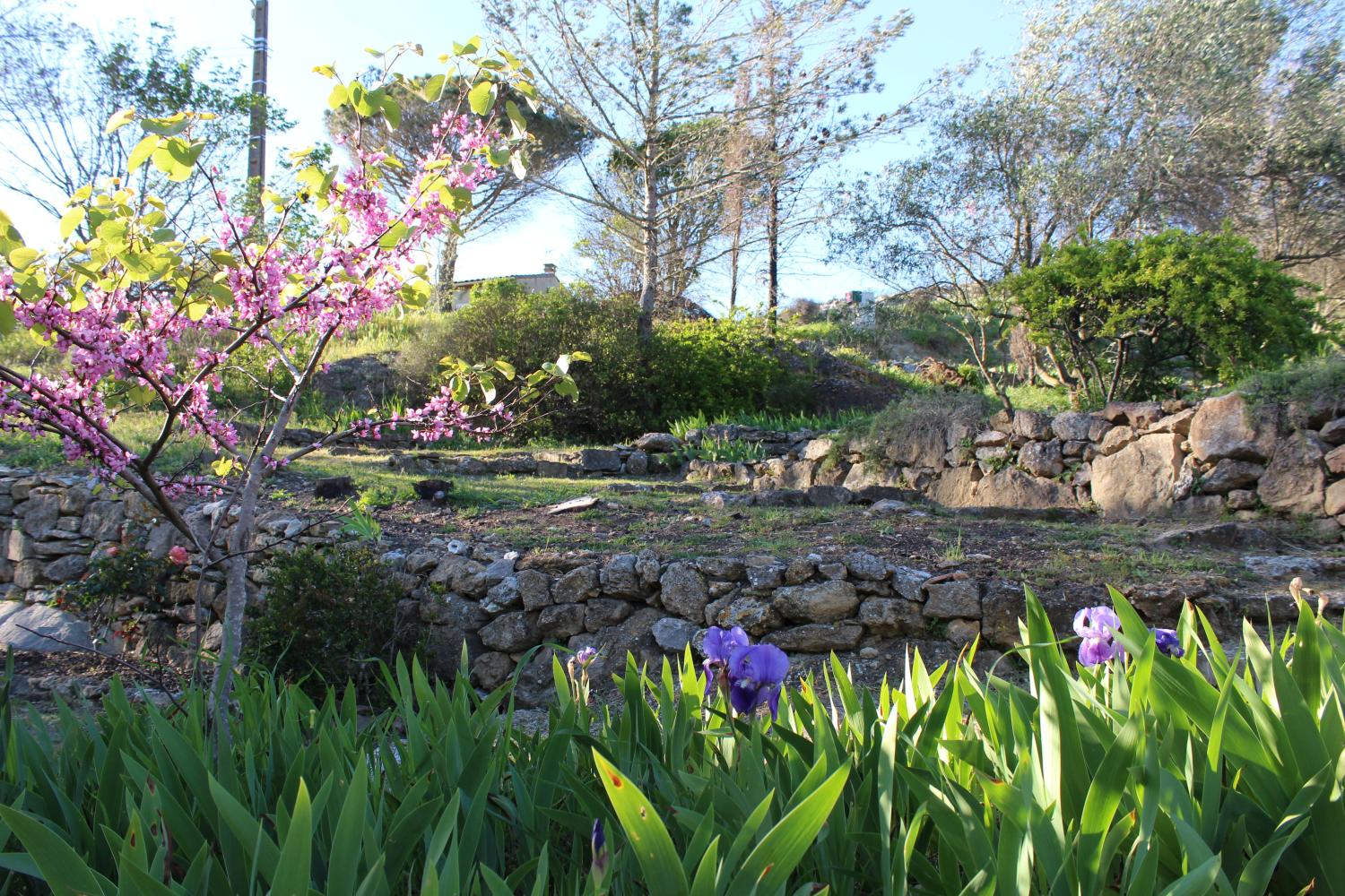  en venta casa de pueblo Fontjoncouse Aude 16