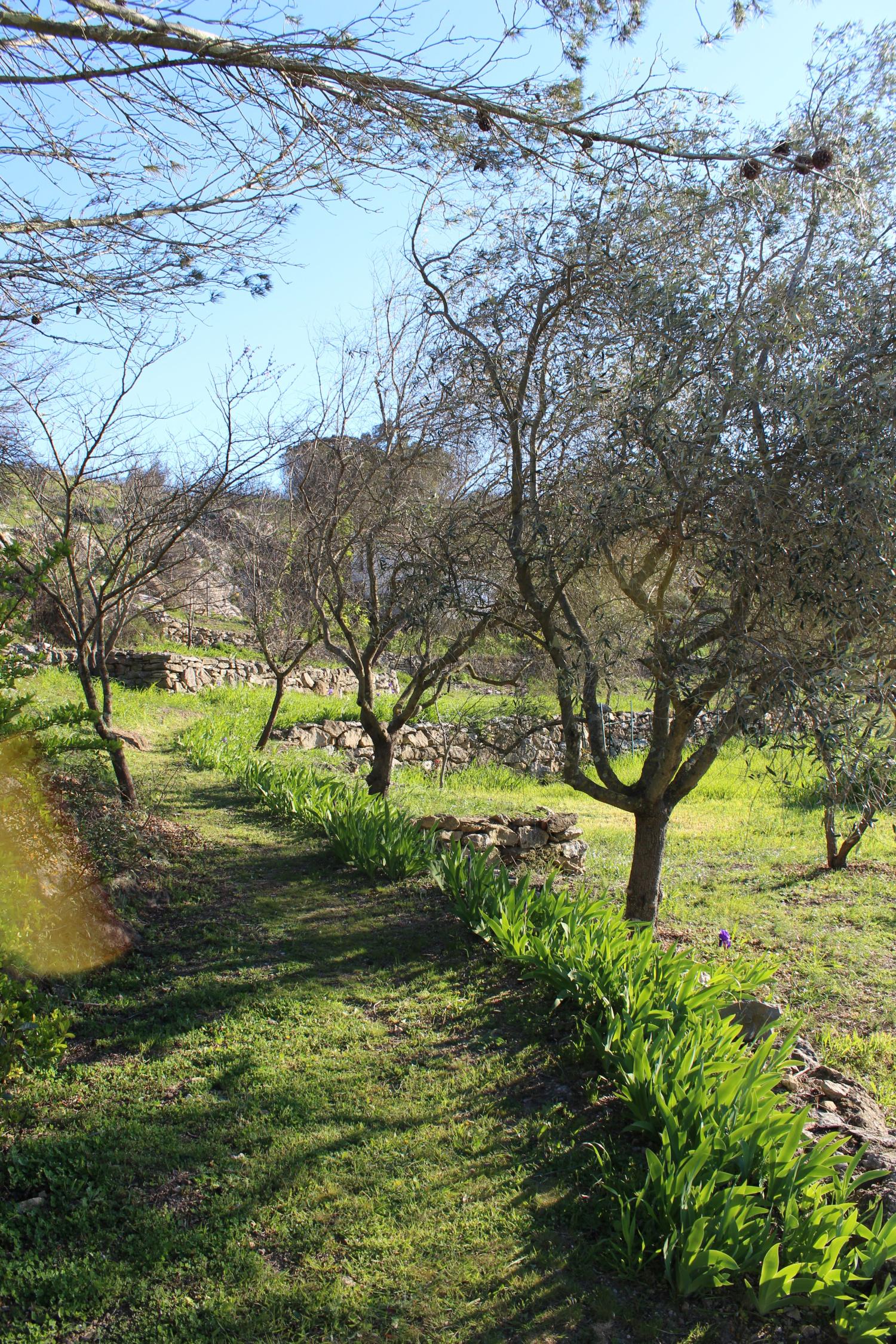 en venta casa de pueblo Fontjoncouse Aude 19
