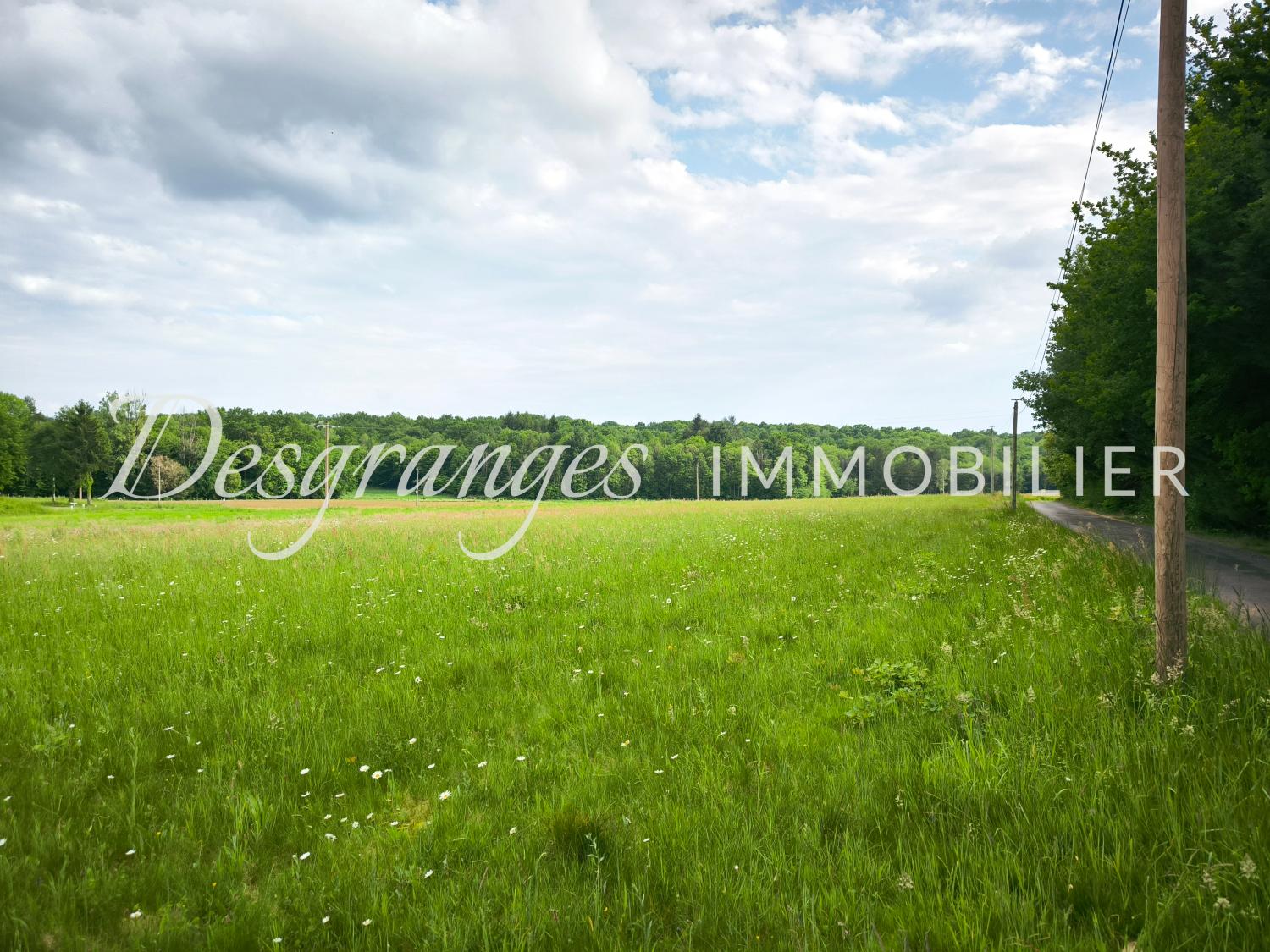  en venta terreno edificable Payzac Dordoña 2