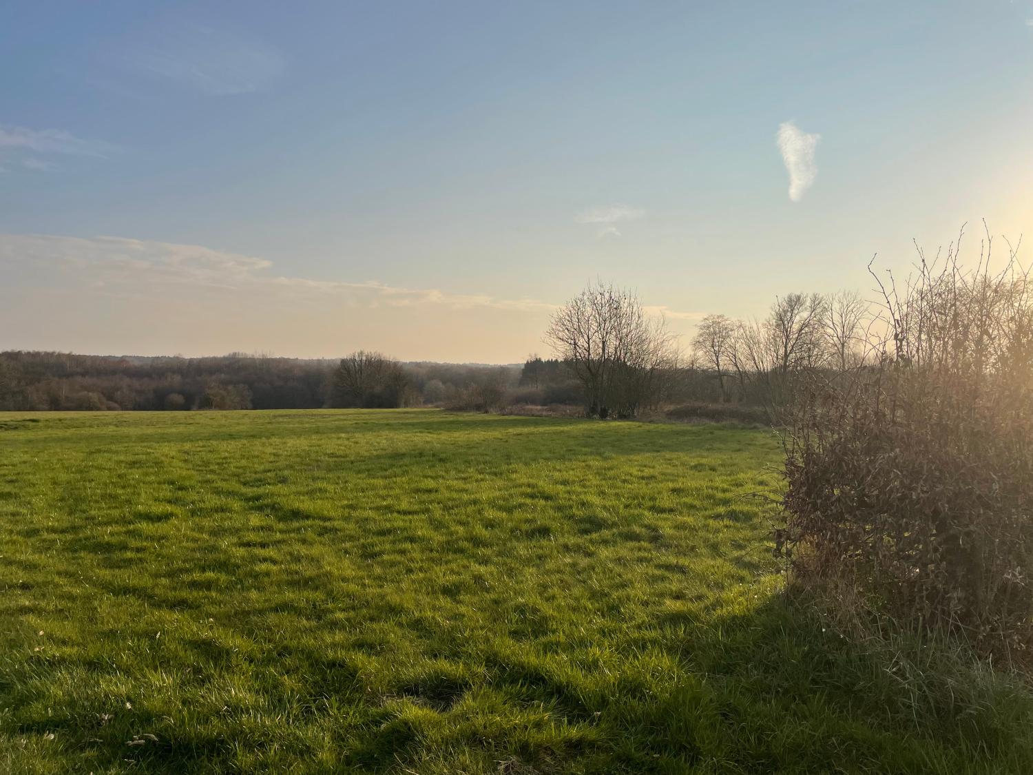  en venta terreno edificable Taillette Ardennes 3