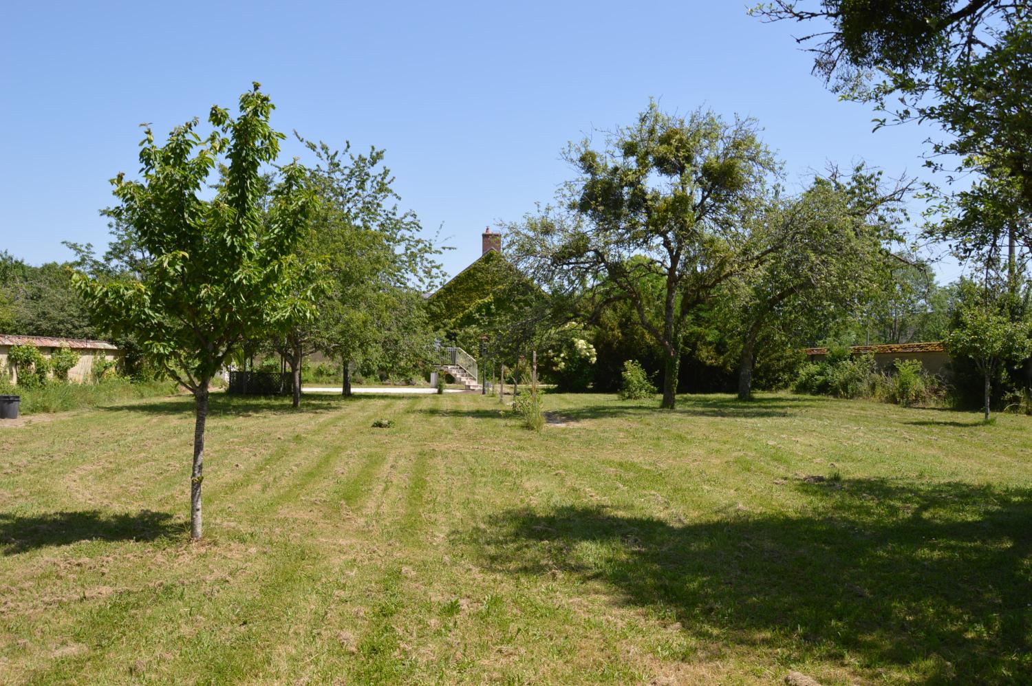  en venta finca rústica La Guerche-sur-l'Aubois Cher 18