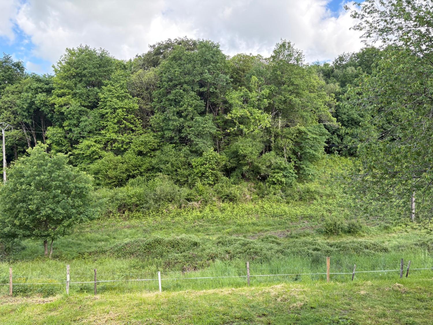 en venta casa rústica Coussac-Bonneval Haute-Vienne 5