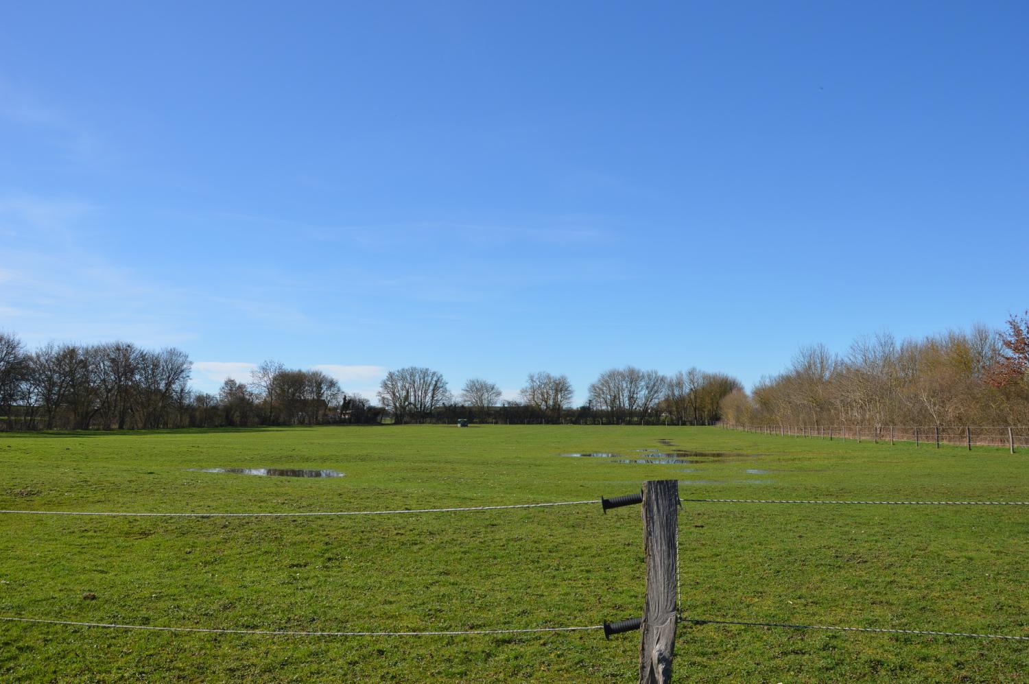  en venta finca rústica La Guerche-sur-l'Aubois Cher 4