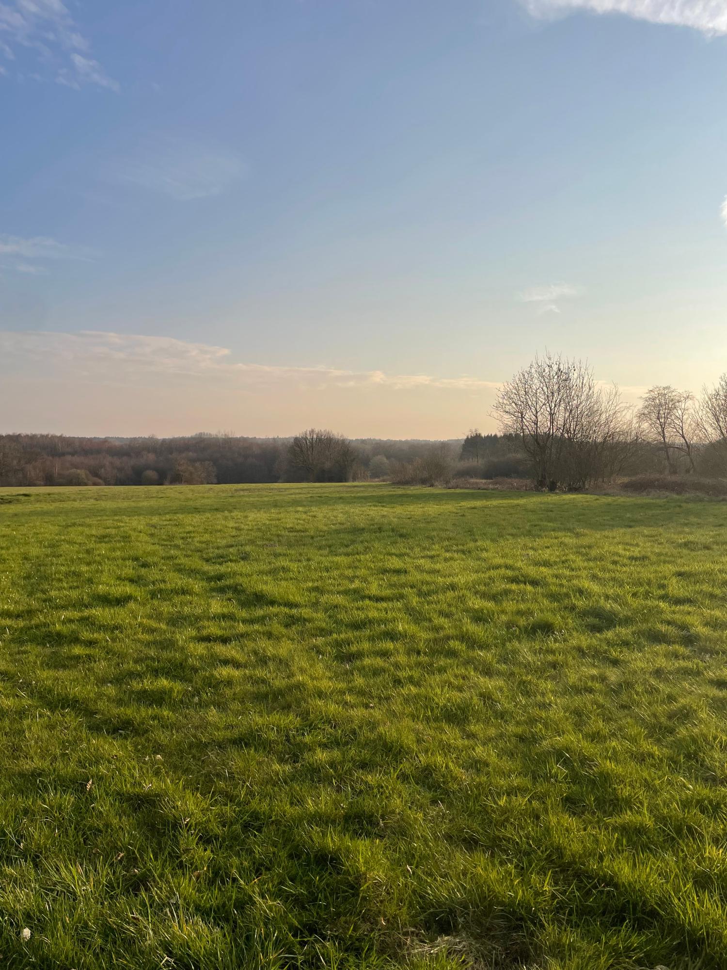  en venta terreno edificable Taillette Ardennes 2