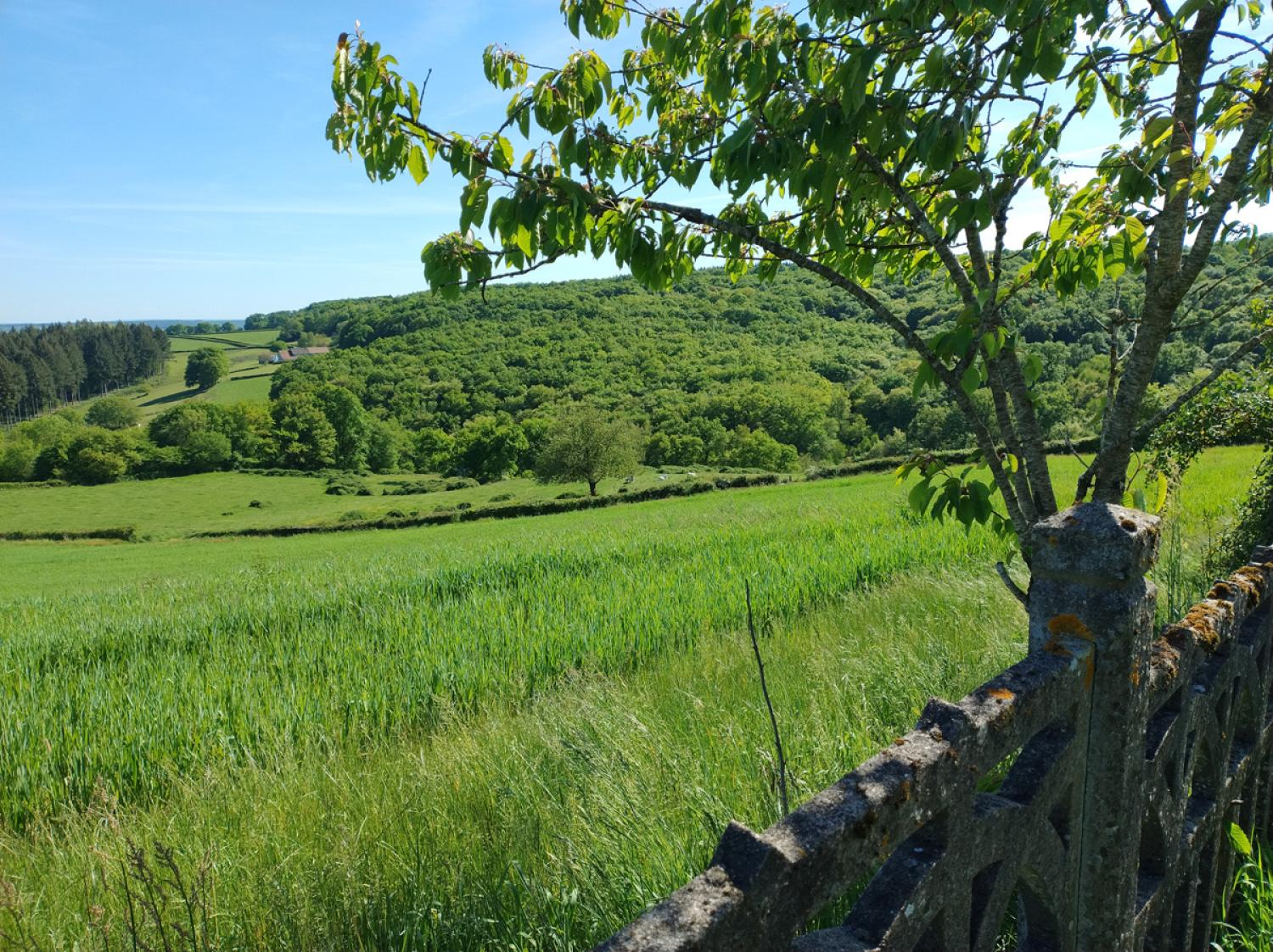 en venta casa rústica Uxeau Saône-et-Loire 9