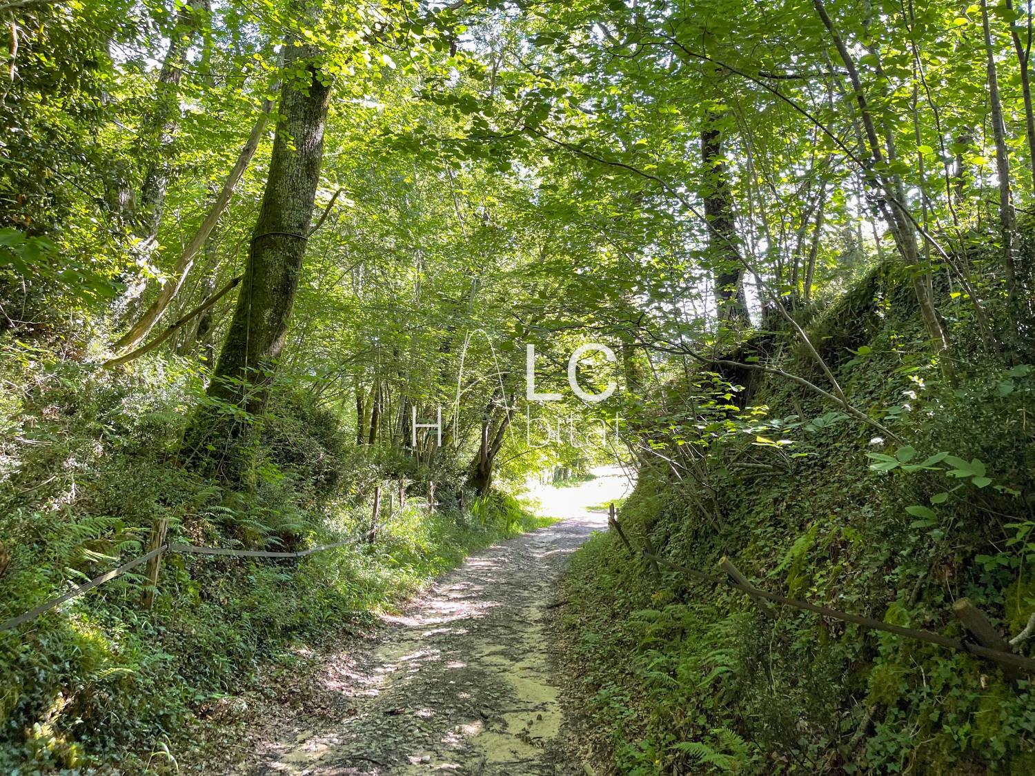 en venta finca rústica Bayonne Pirineos Atlánticos 3