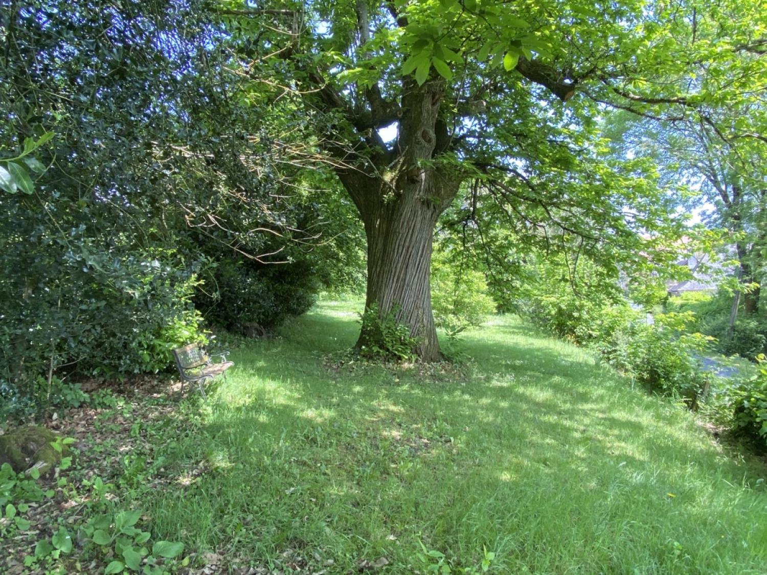 en venta casa independiente Juillac Corrèze 19