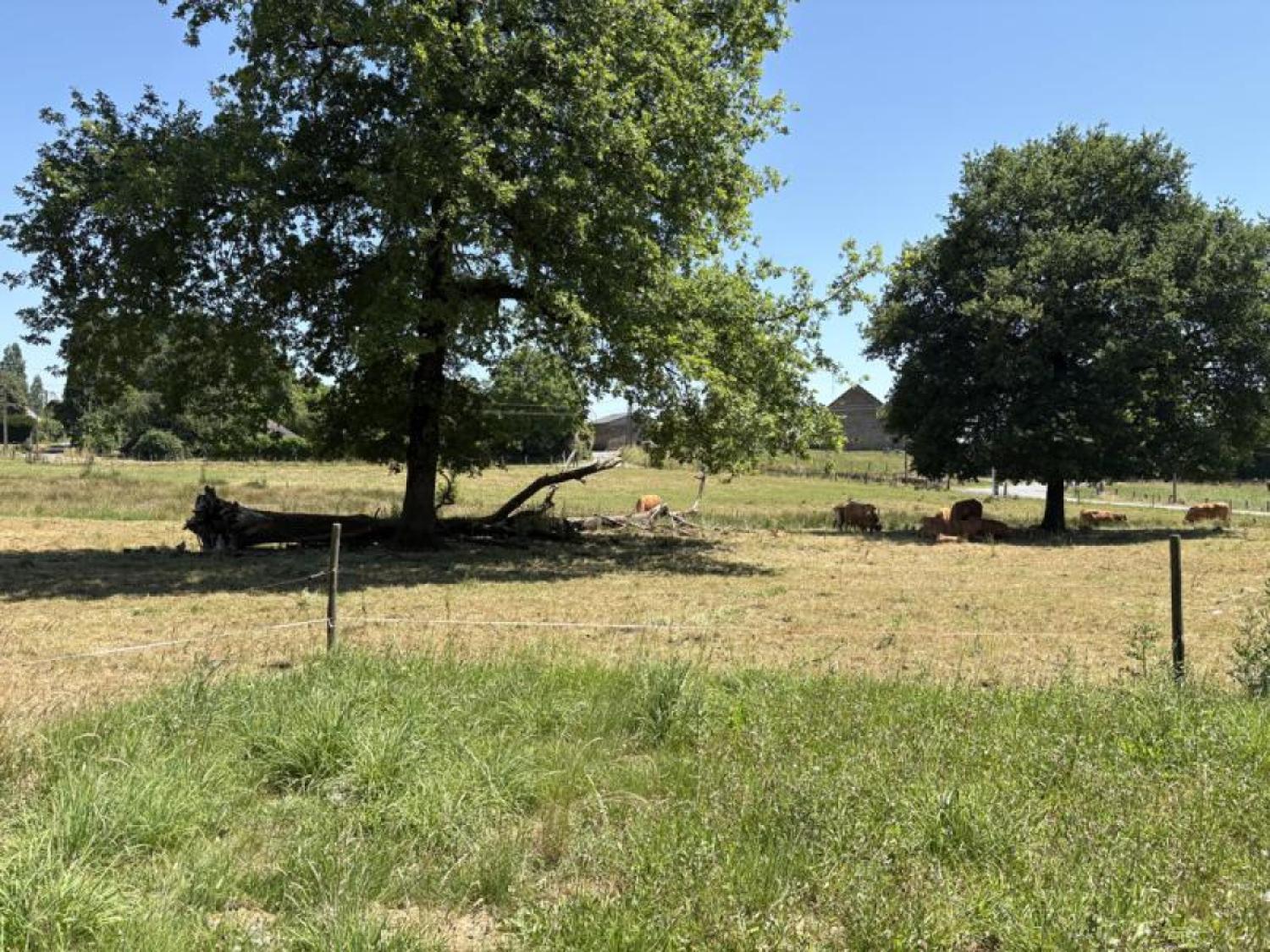  en venta casa con anexo de invitados Beyssenac Corrèze 25