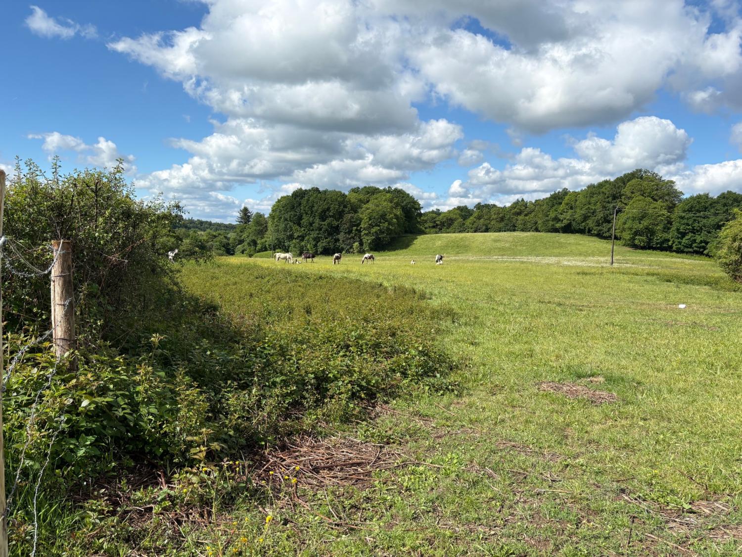 en venta casa rústica Coussac-Bonneval Haute-Vienne 4