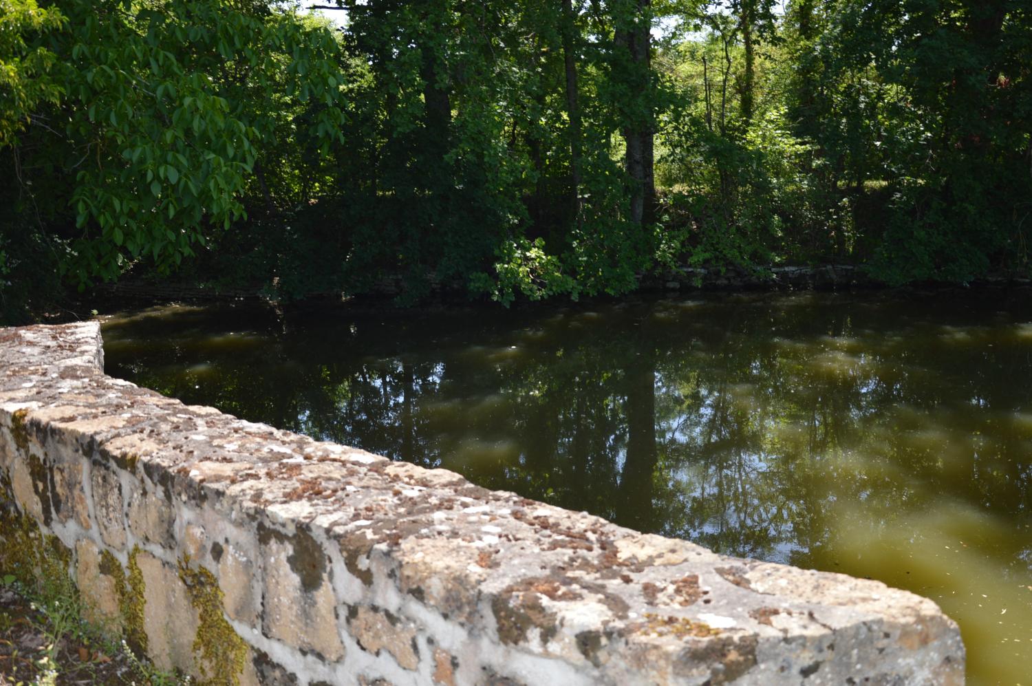  en venta finca rústica La Guerche-sur-l'Aubois Cher 19