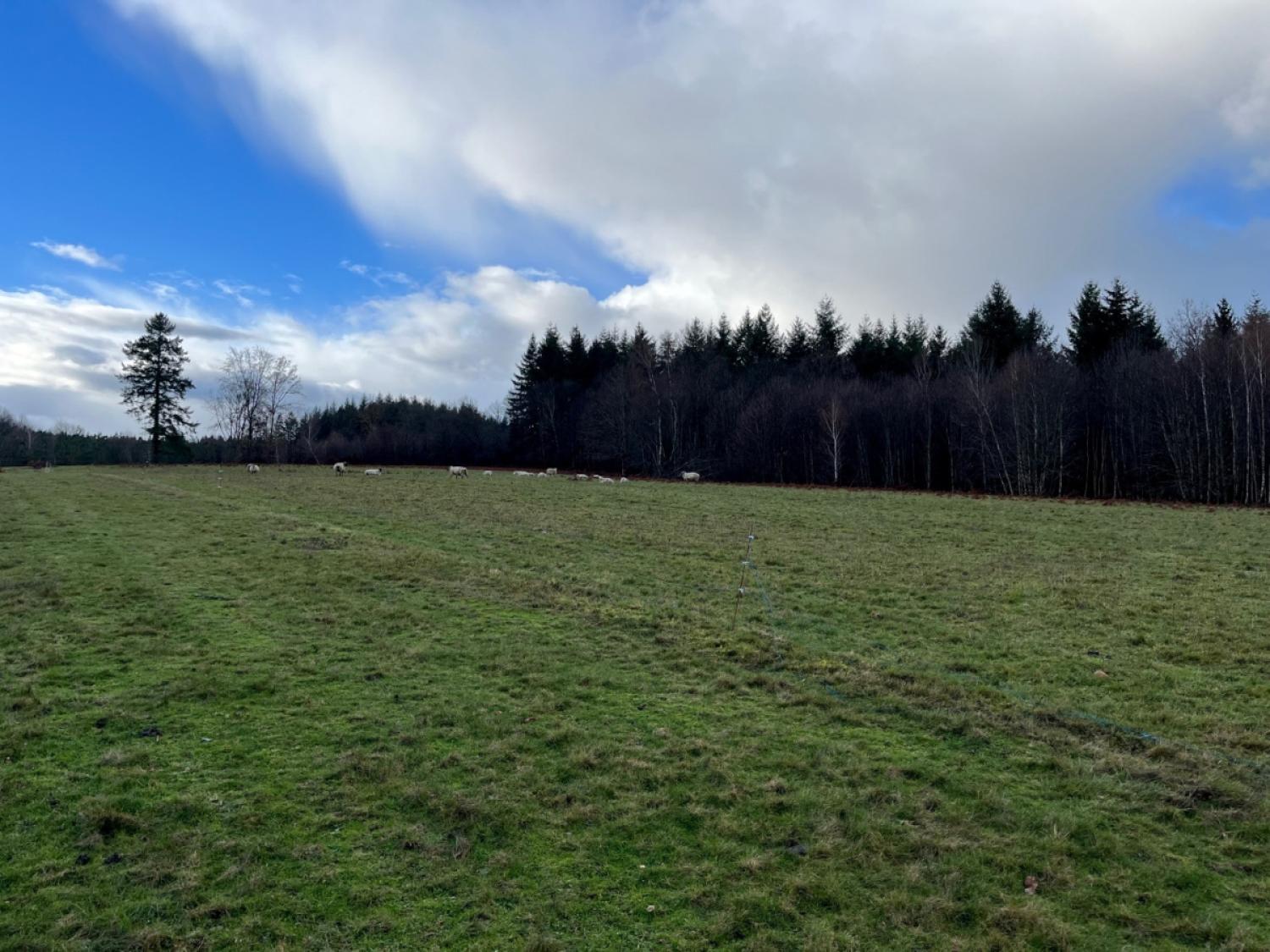 en venta casa rústica Saint-Yrieix-la-Perche Haute-Vienne 5