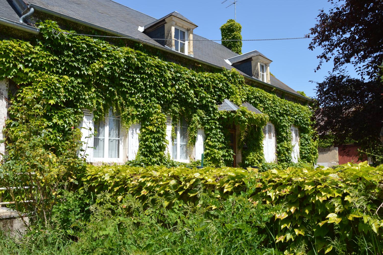  en venta finca rústica La Guerche-sur-l'Aubois Cher 1