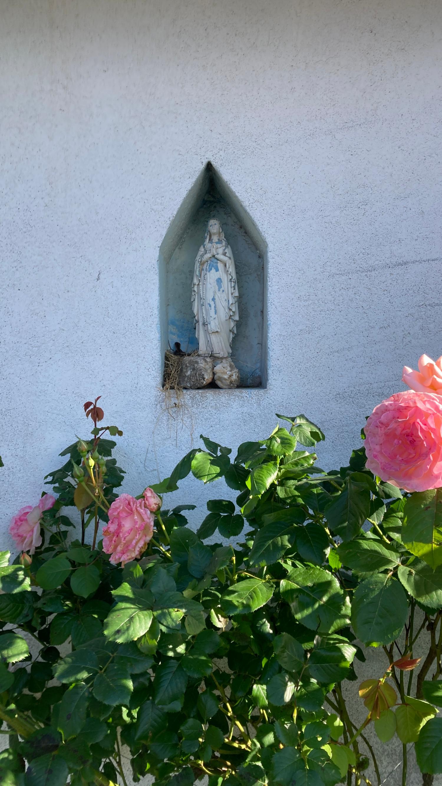 en venta casa rústica Saint-Sernin-sur-Rance Aveyron 29