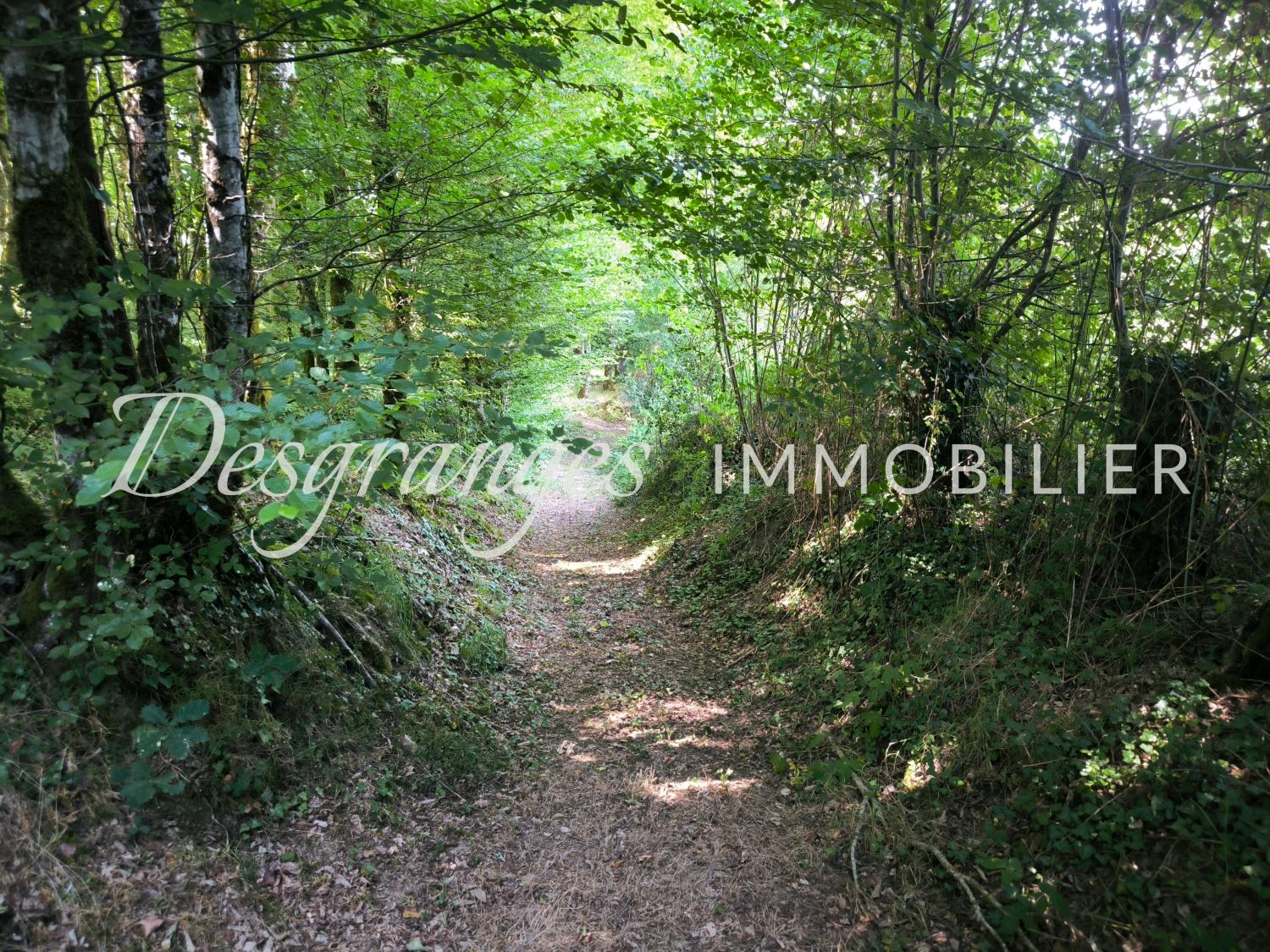 en venta finca rústica Savignac-Lédrier Dordoña 20
