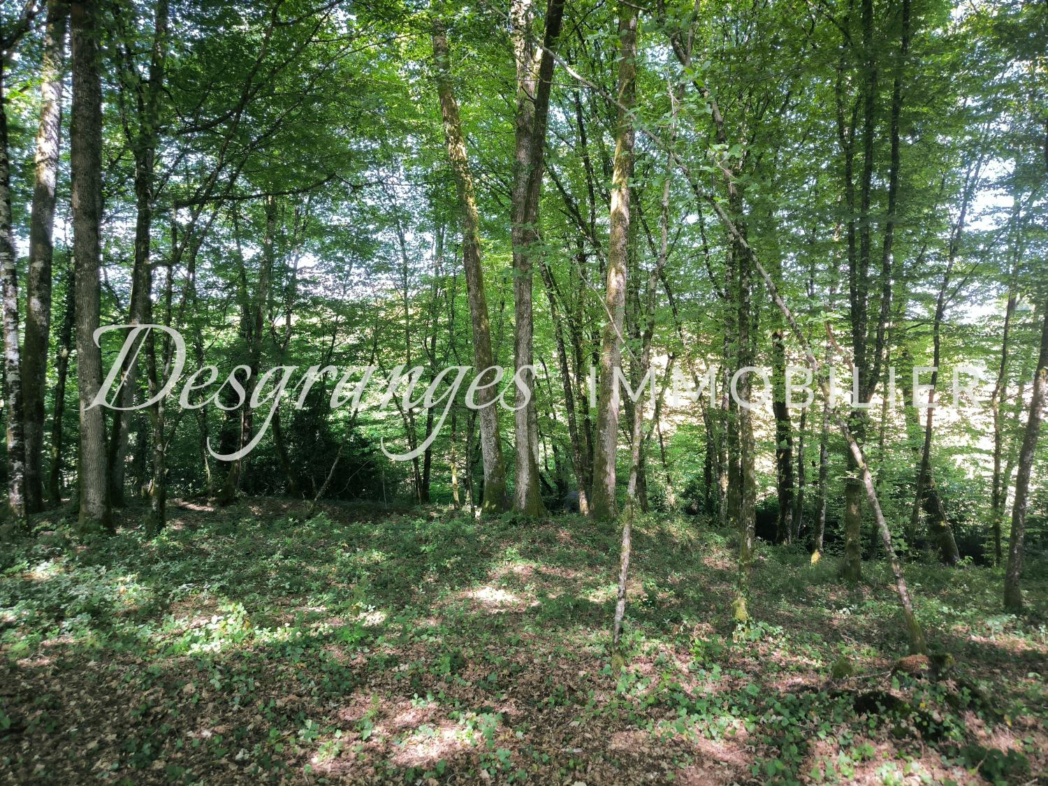 en venta finca rústica Savignac-Lédrier Dordoña 21