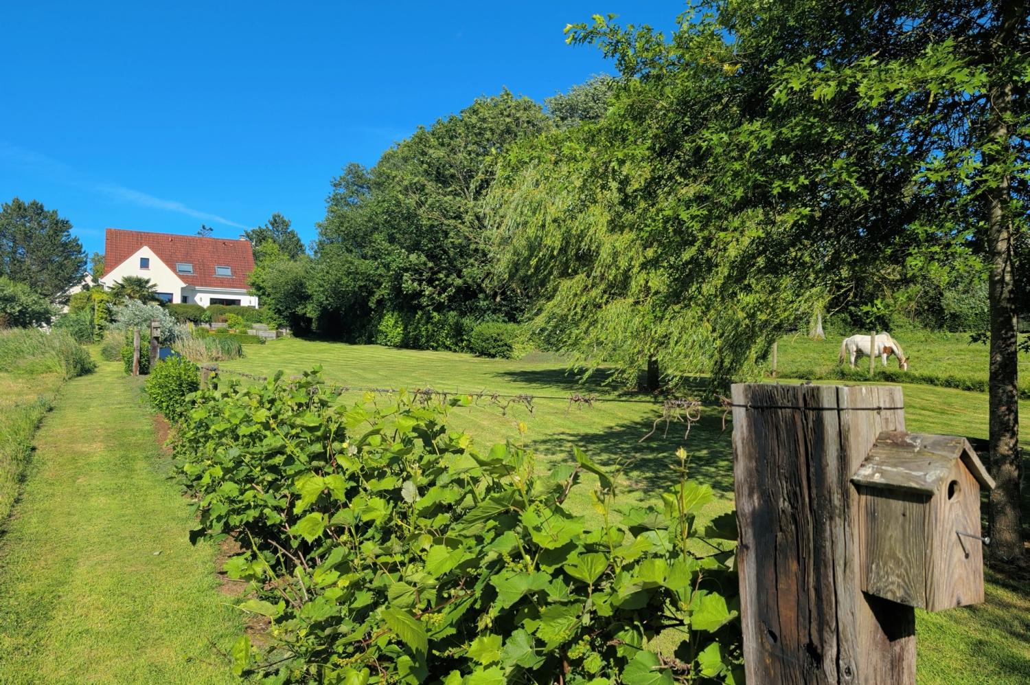  en venta villa Audembert Pas-de-Calais 7