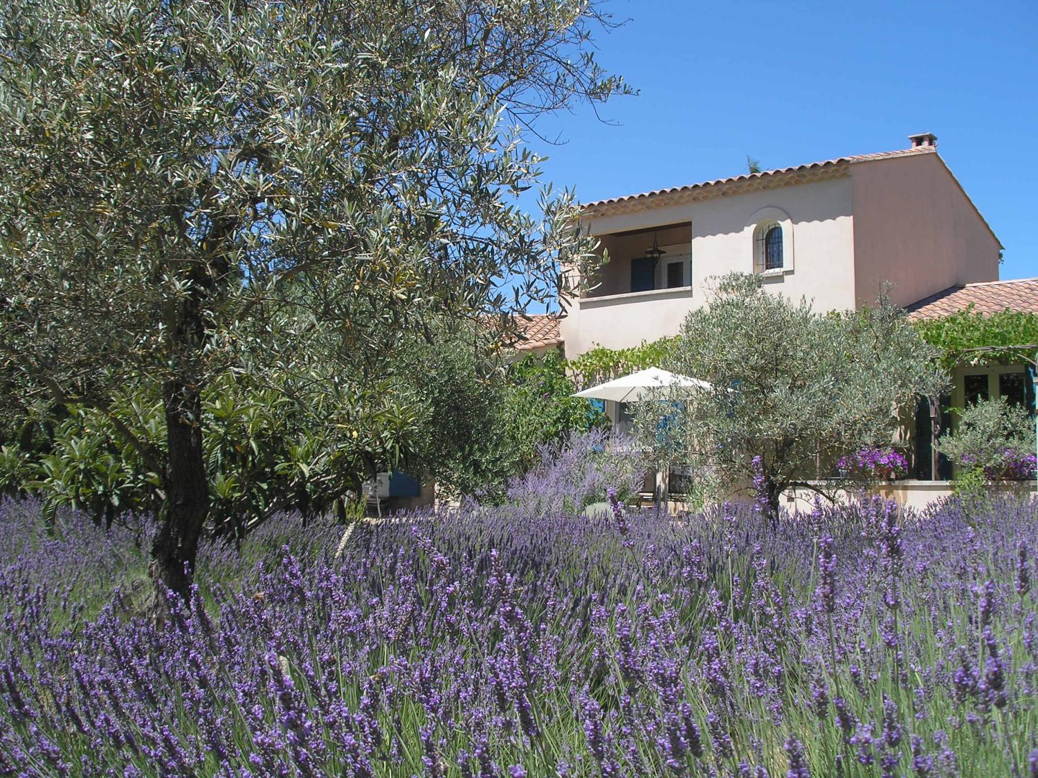  en venta cama y desayuno Lacoste Vaucluse 1