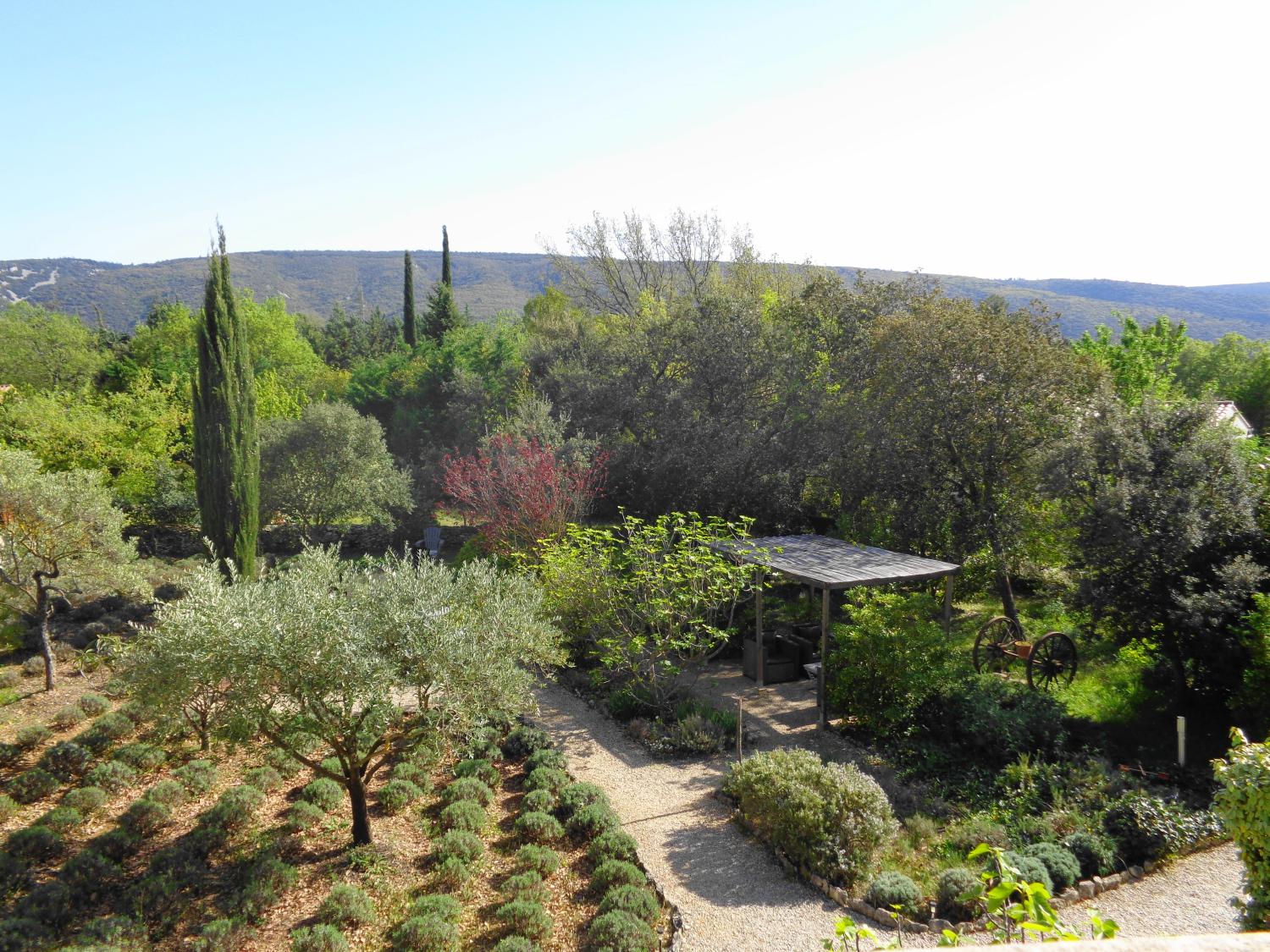  en venta cama y desayuno Lacoste Vaucluse 10